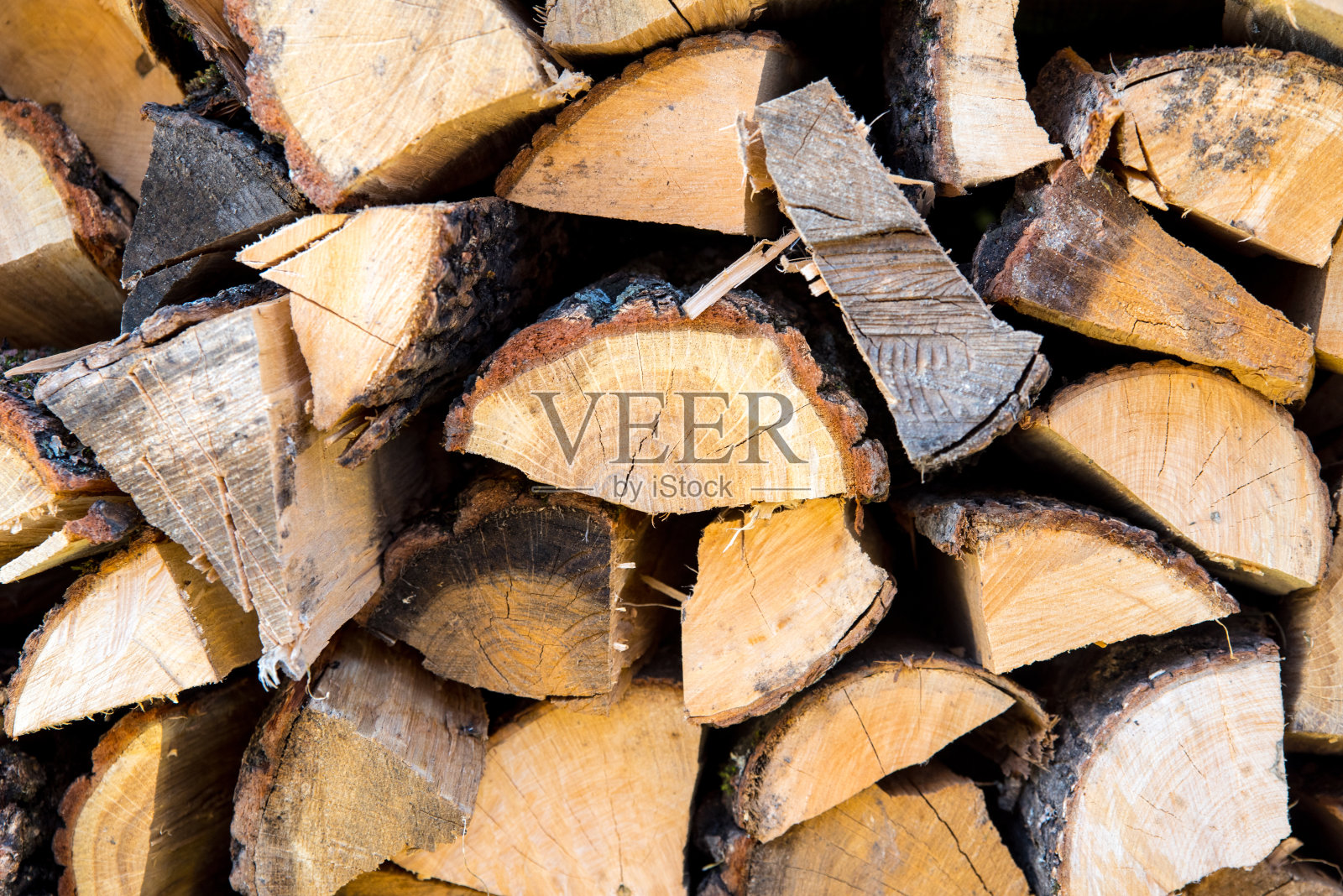 背景是一堆柴火，未砍的木头，照片摄影图片