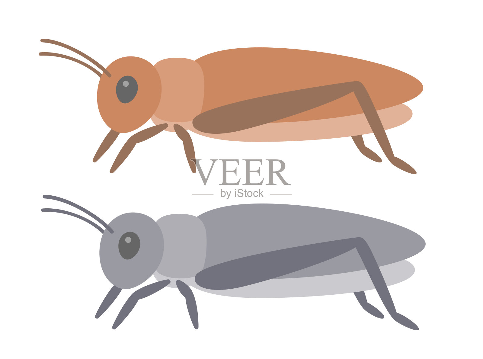 两种可食用蟋蟀插图设计元素图片