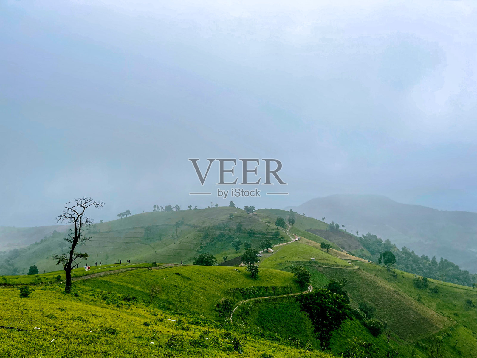 自然照片摄影图片