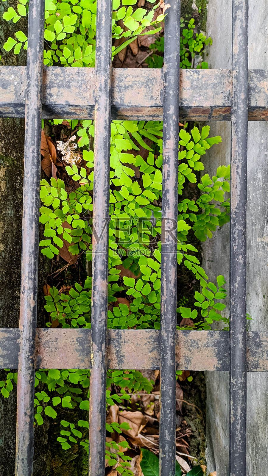 人行步道上的铁栅栏排水通道照片摄影图片