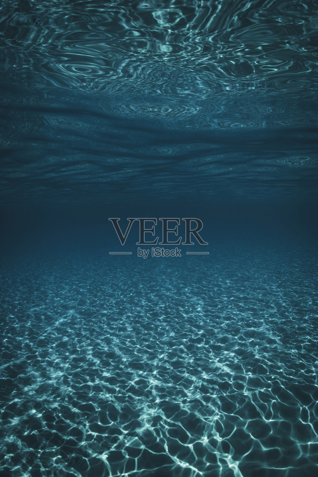 深海的水下景色。照片摄影图片