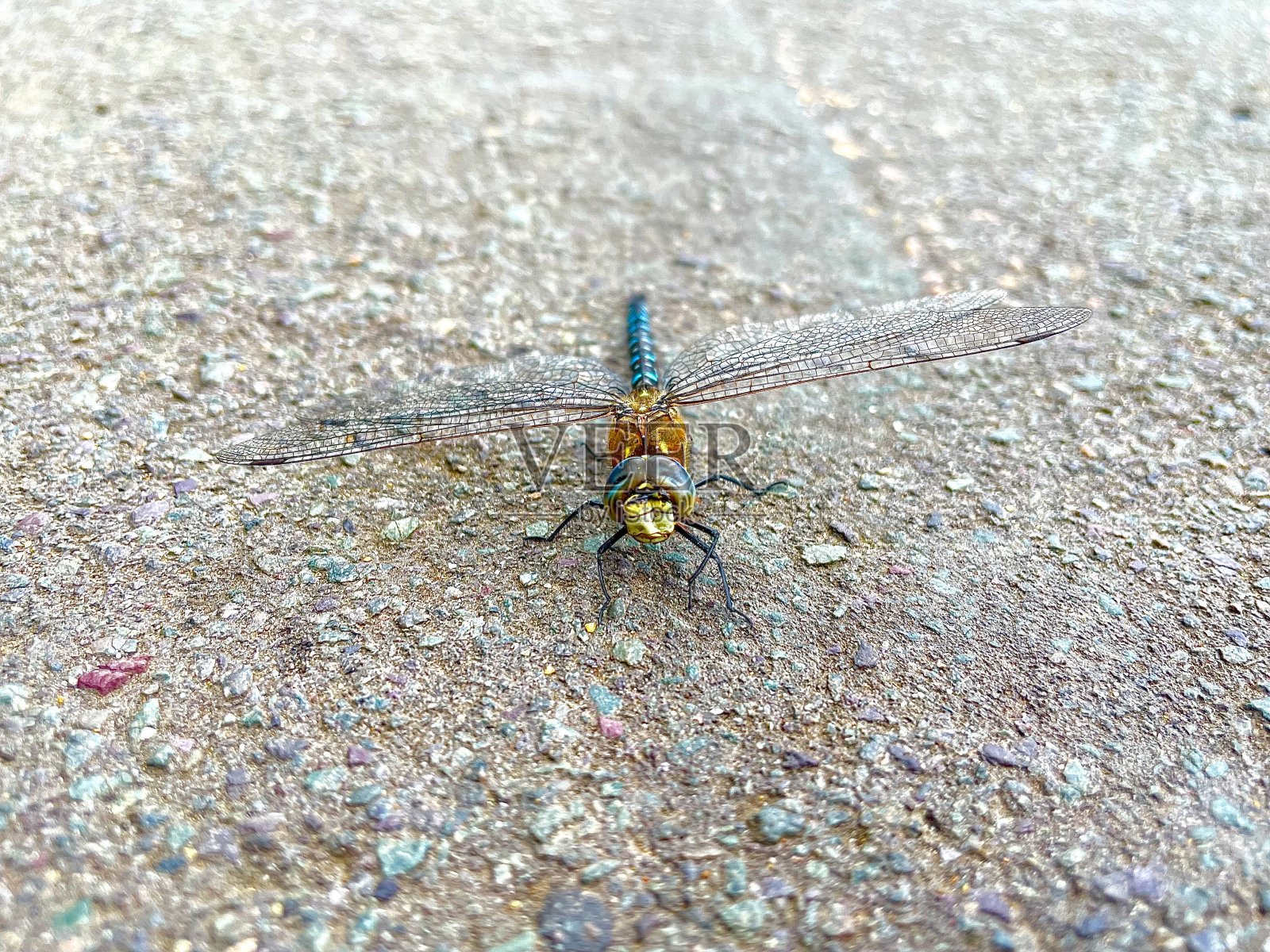 流动小贩照片摄影图片