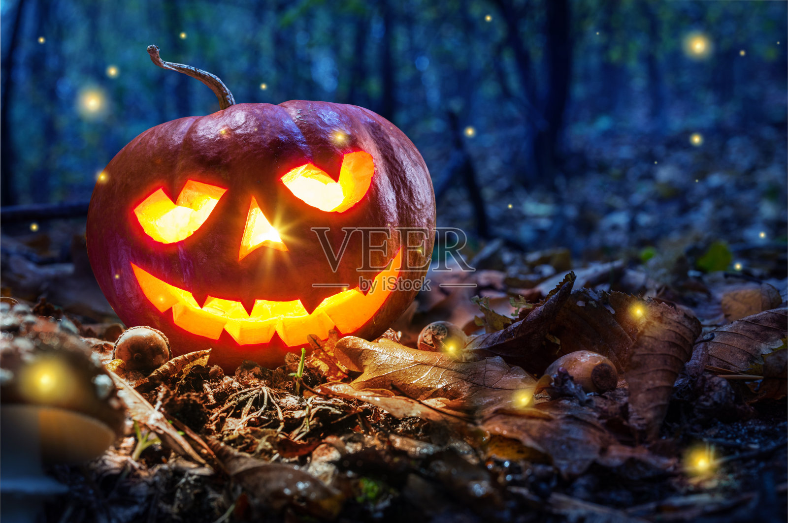 万圣节主题与发光的南瓜在黑暗的秋天森林与鹅膏菌和月亮。万圣节恐怖背景。照片摄影图片
