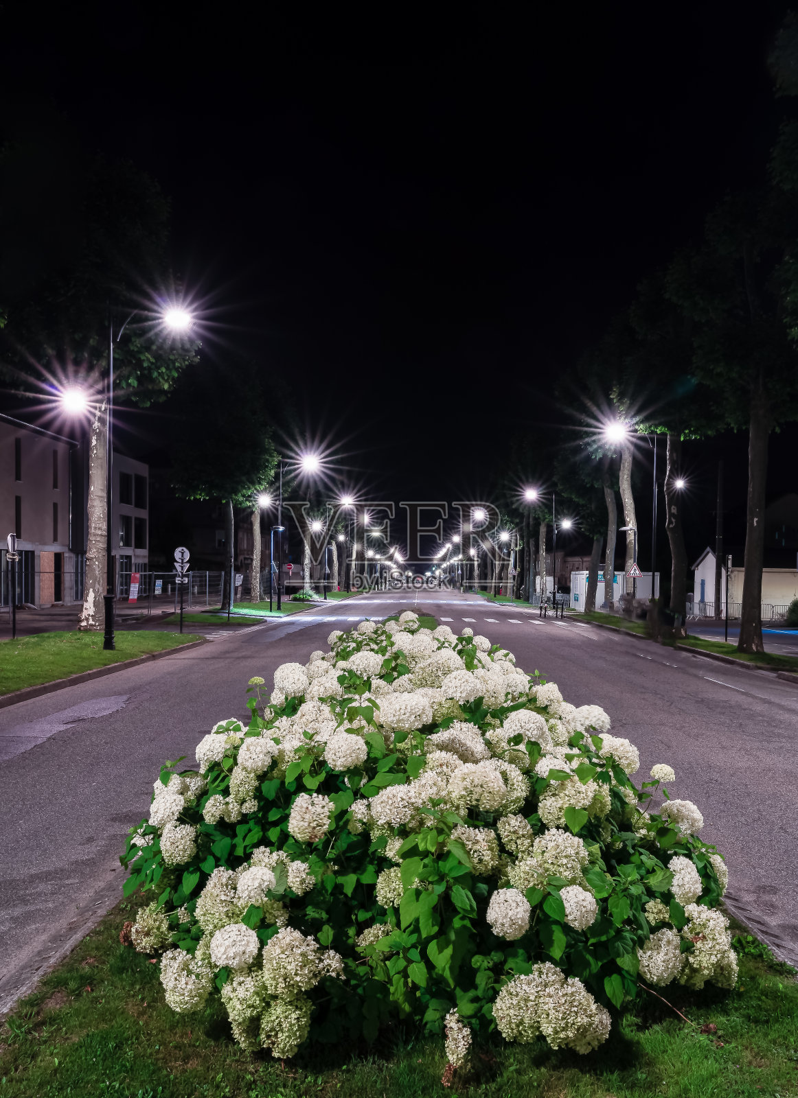 灯火通明的小巷夜景，盛开着白色绣球花，通往诺曼底翁弗勒照片摄影图片