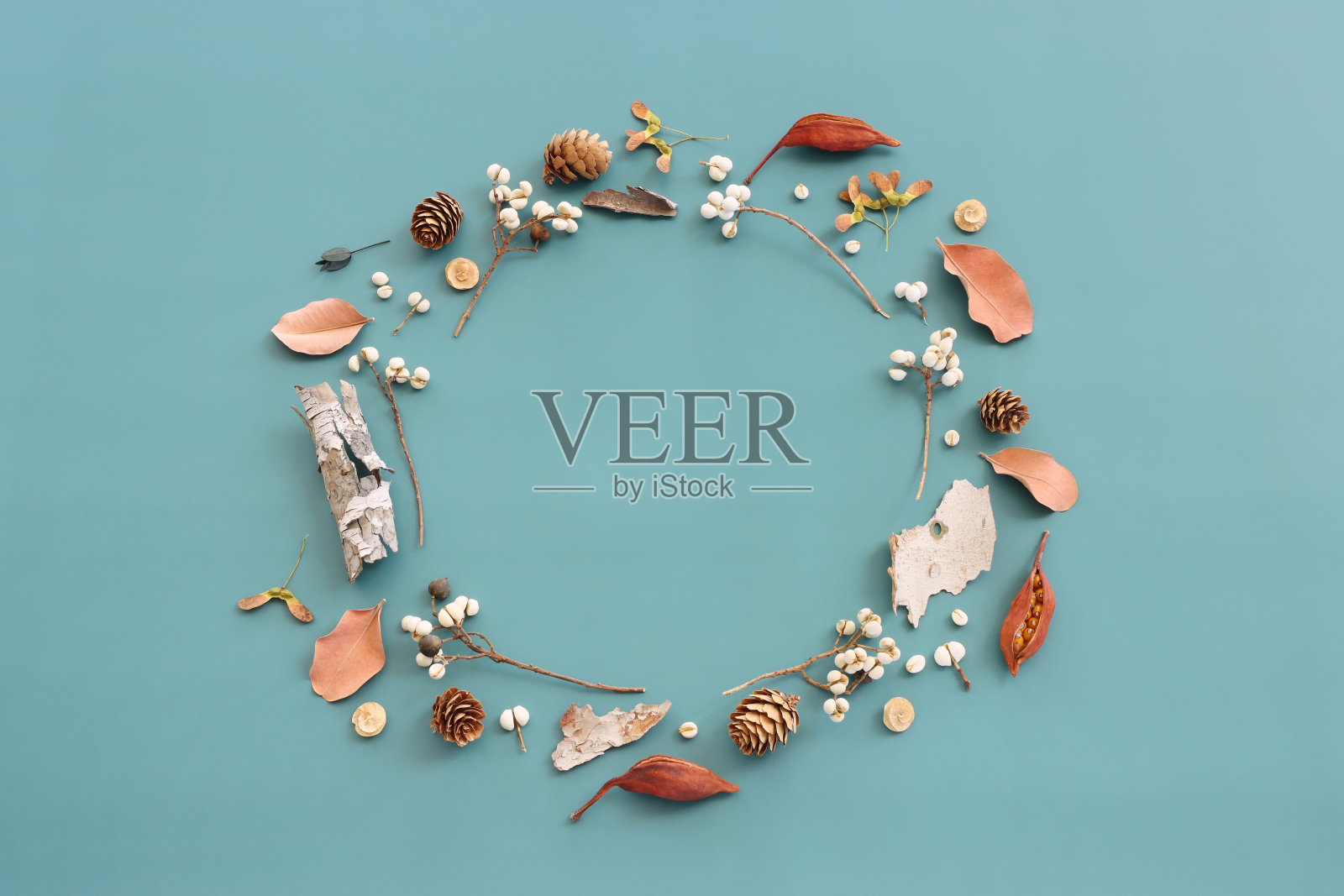 在蓝色背景上秋天森林自然组成的顶视图图像。平坦的lay照片摄影图片