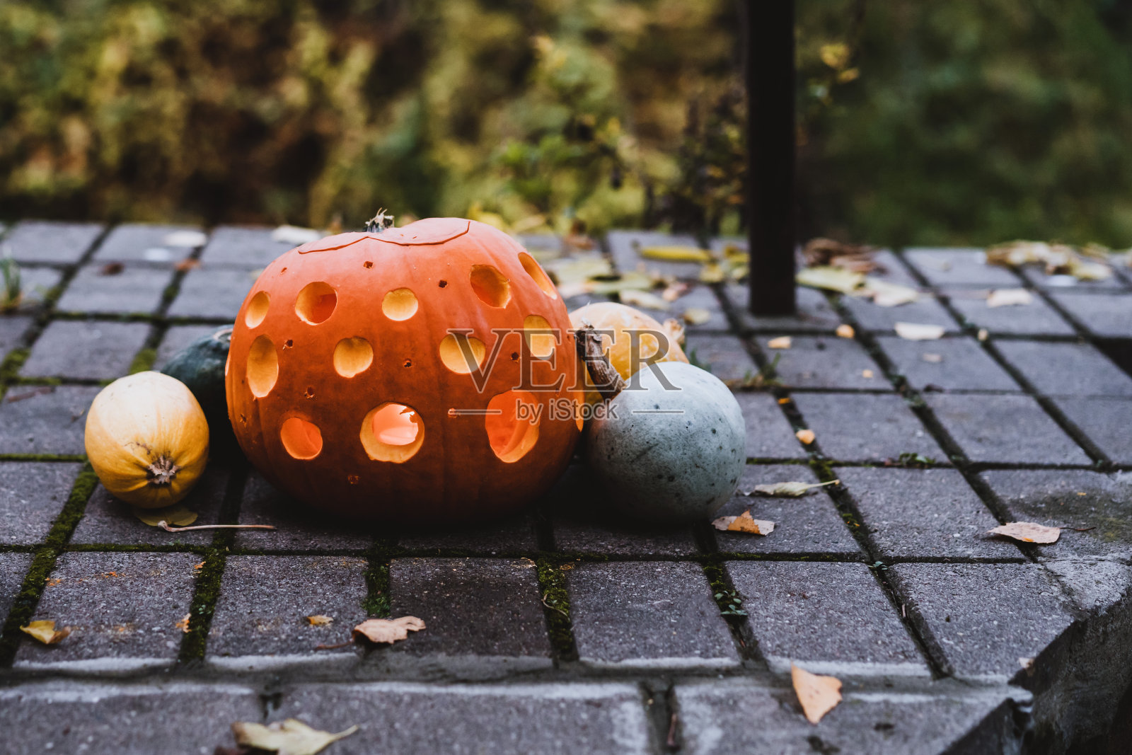 万圣节南瓜作文外面。变暖秋的心情。照片摄影图片