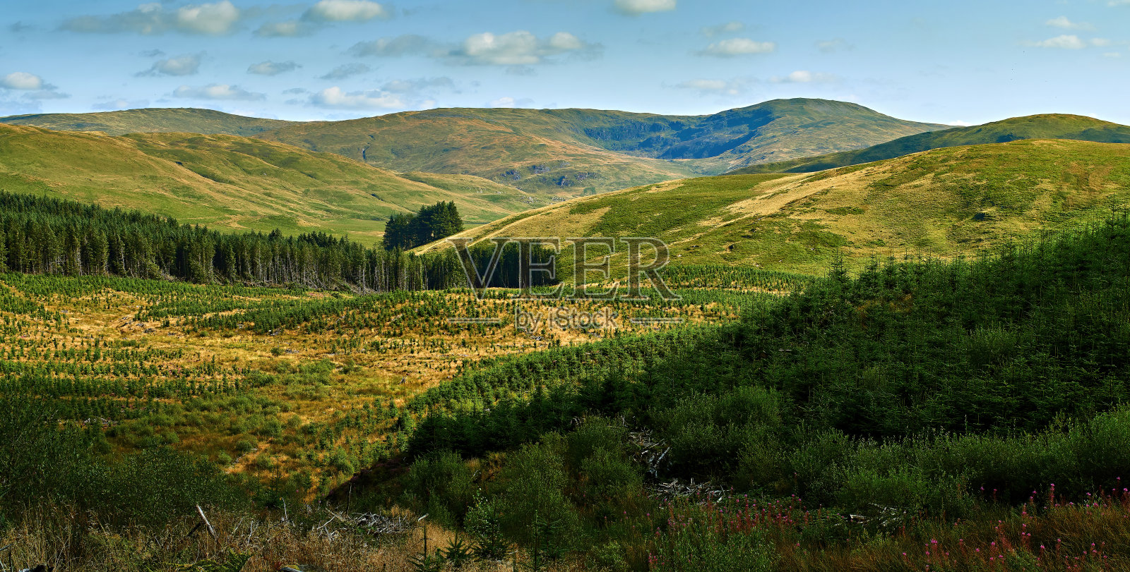 潘鲁门佛尔是寒武纪山脉的最高峰照片摄影图片