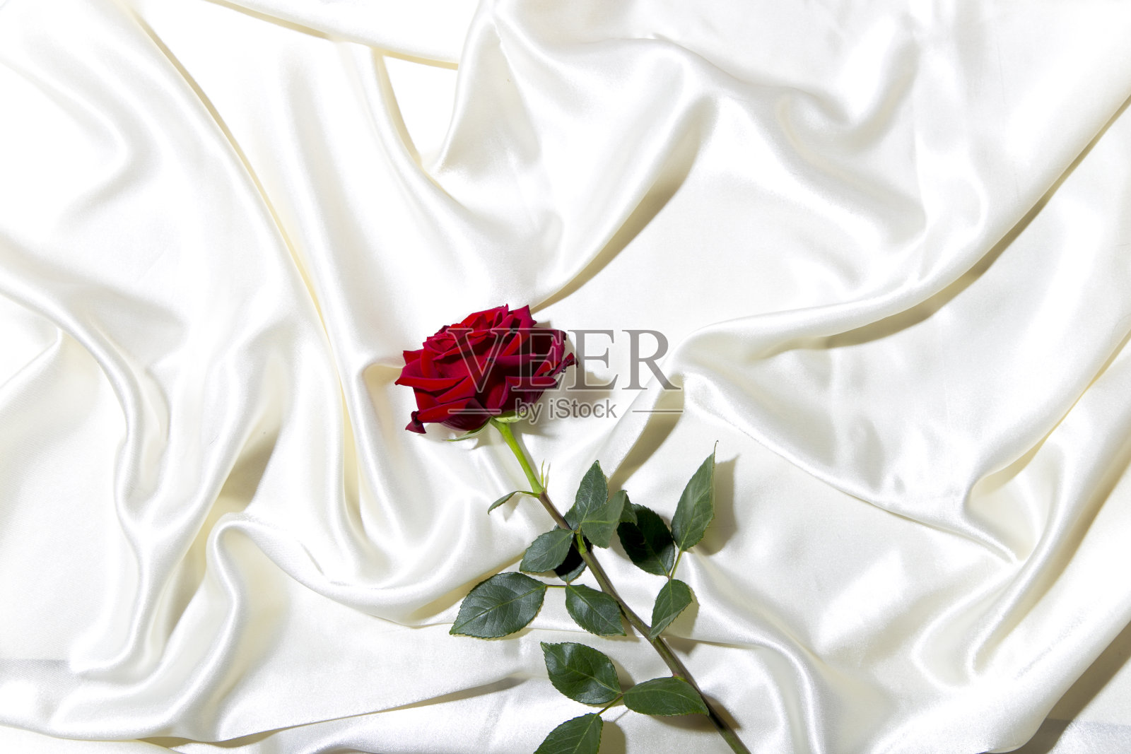 白床上一朵红玫瑰照片摄影图片