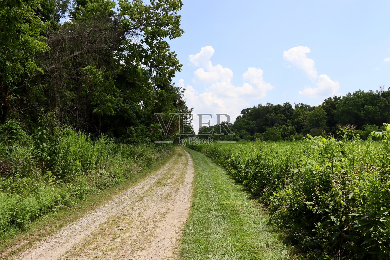 乡村的砾石路照片摄影图片