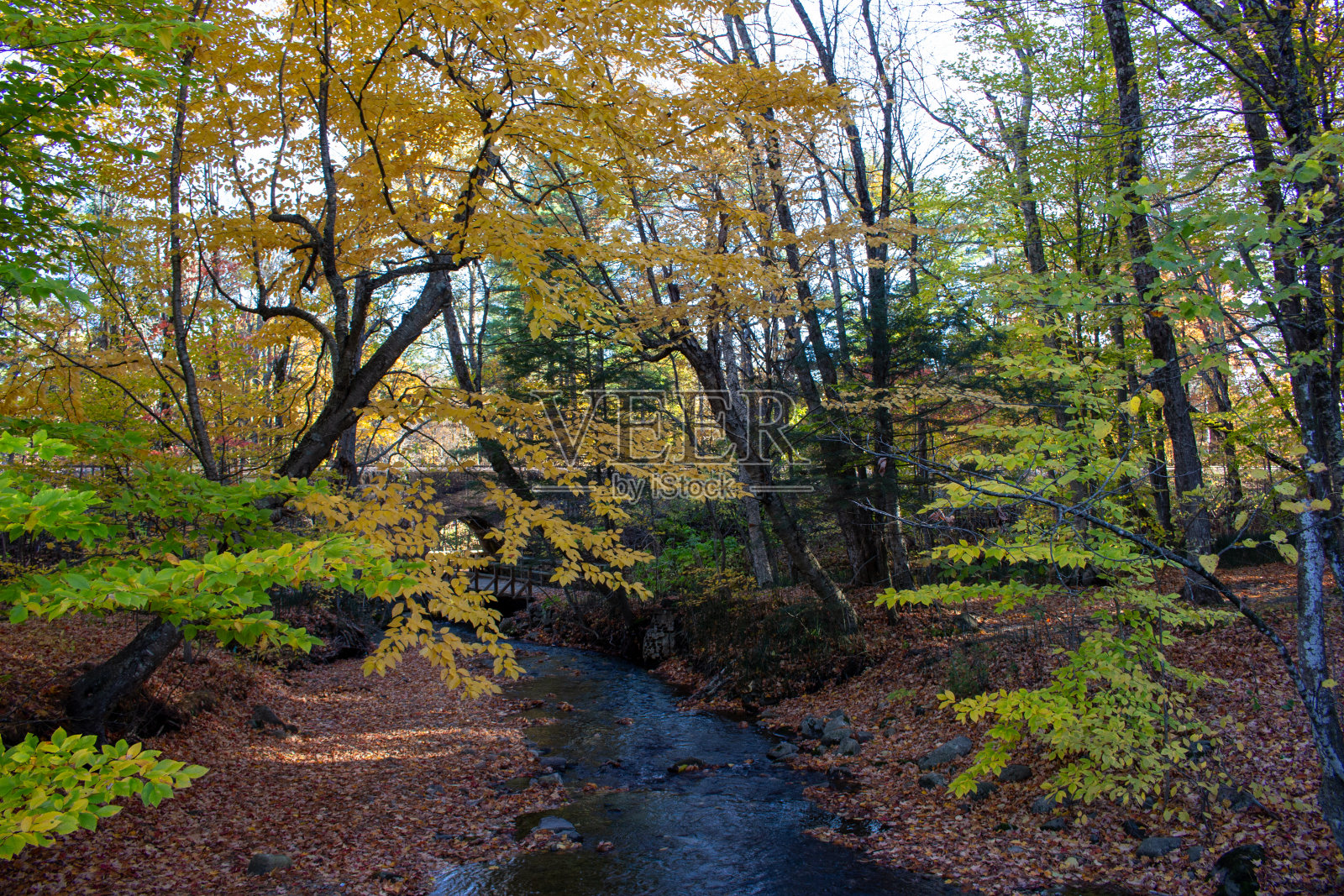 蒙特贝洛，QC秋季色彩照片摄影图片