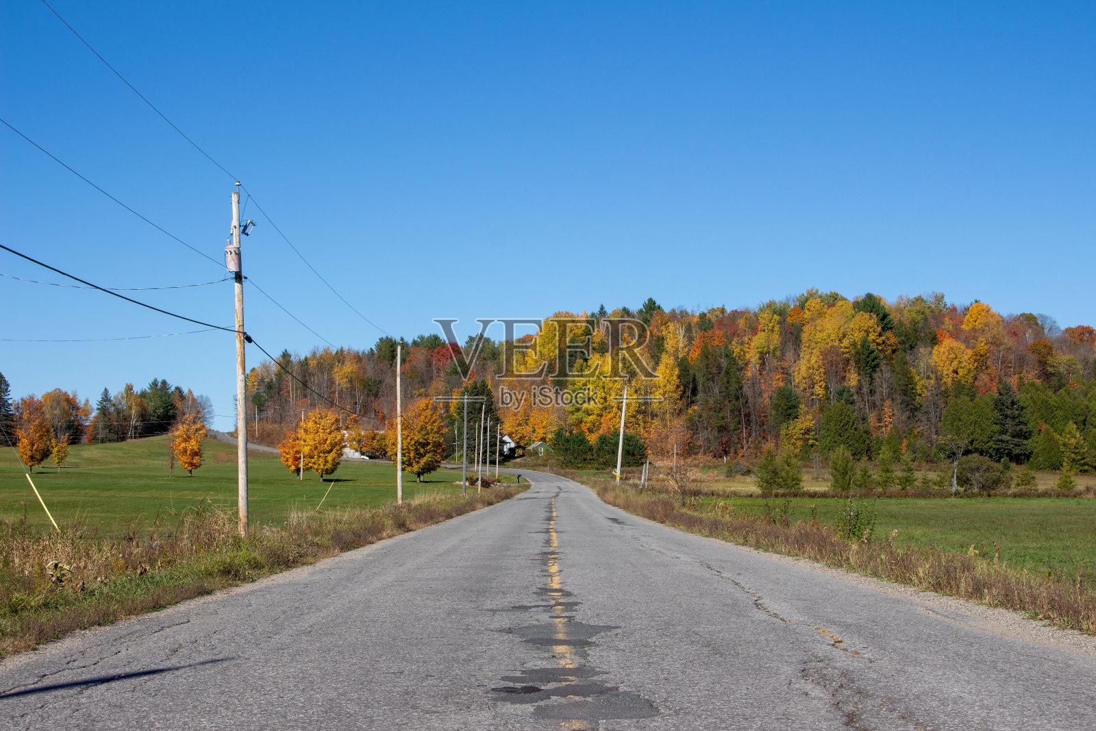 落在加拿大照片摄影图片