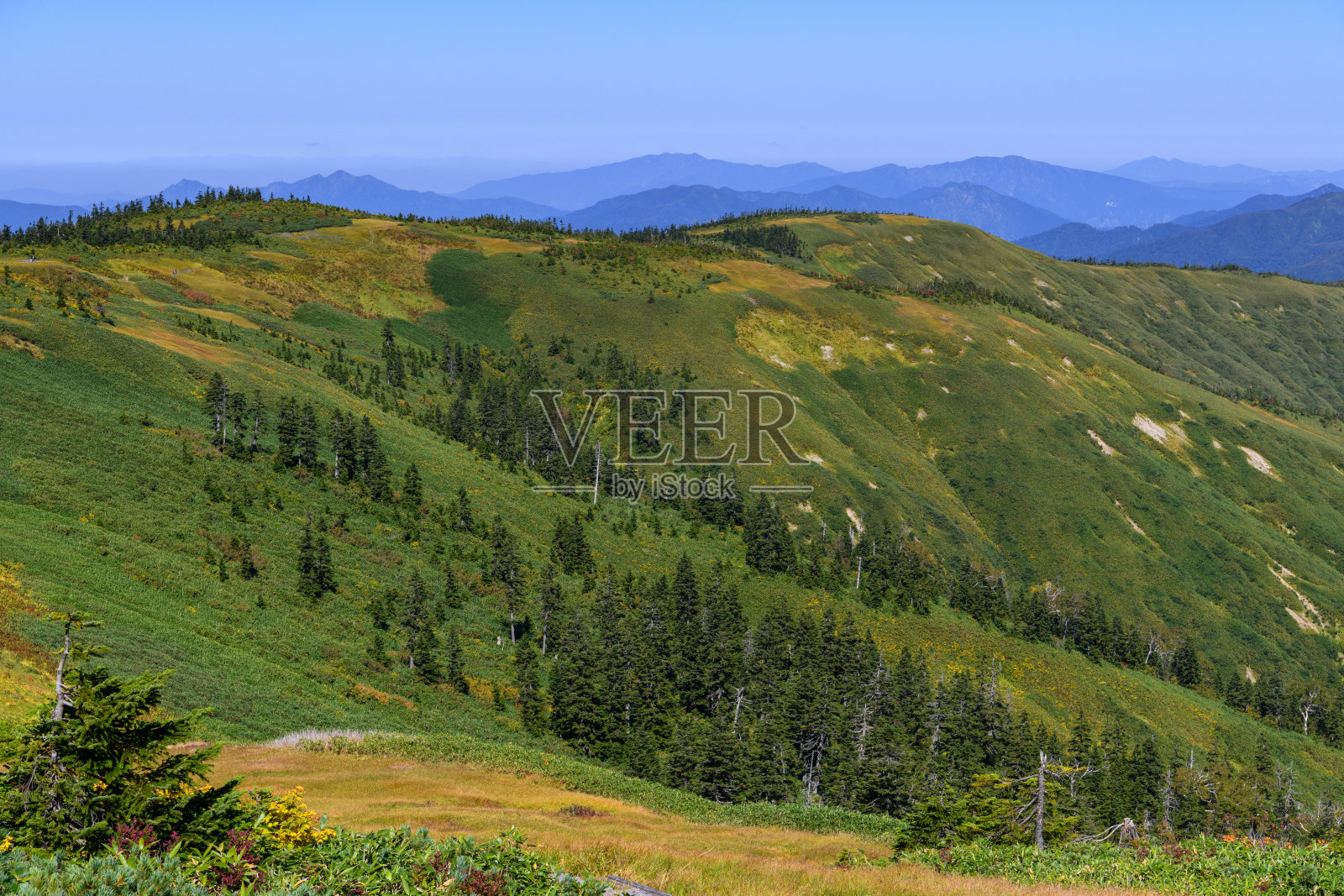 初秋的时候，从井驹武山看到的秋芒岳照片摄影图片