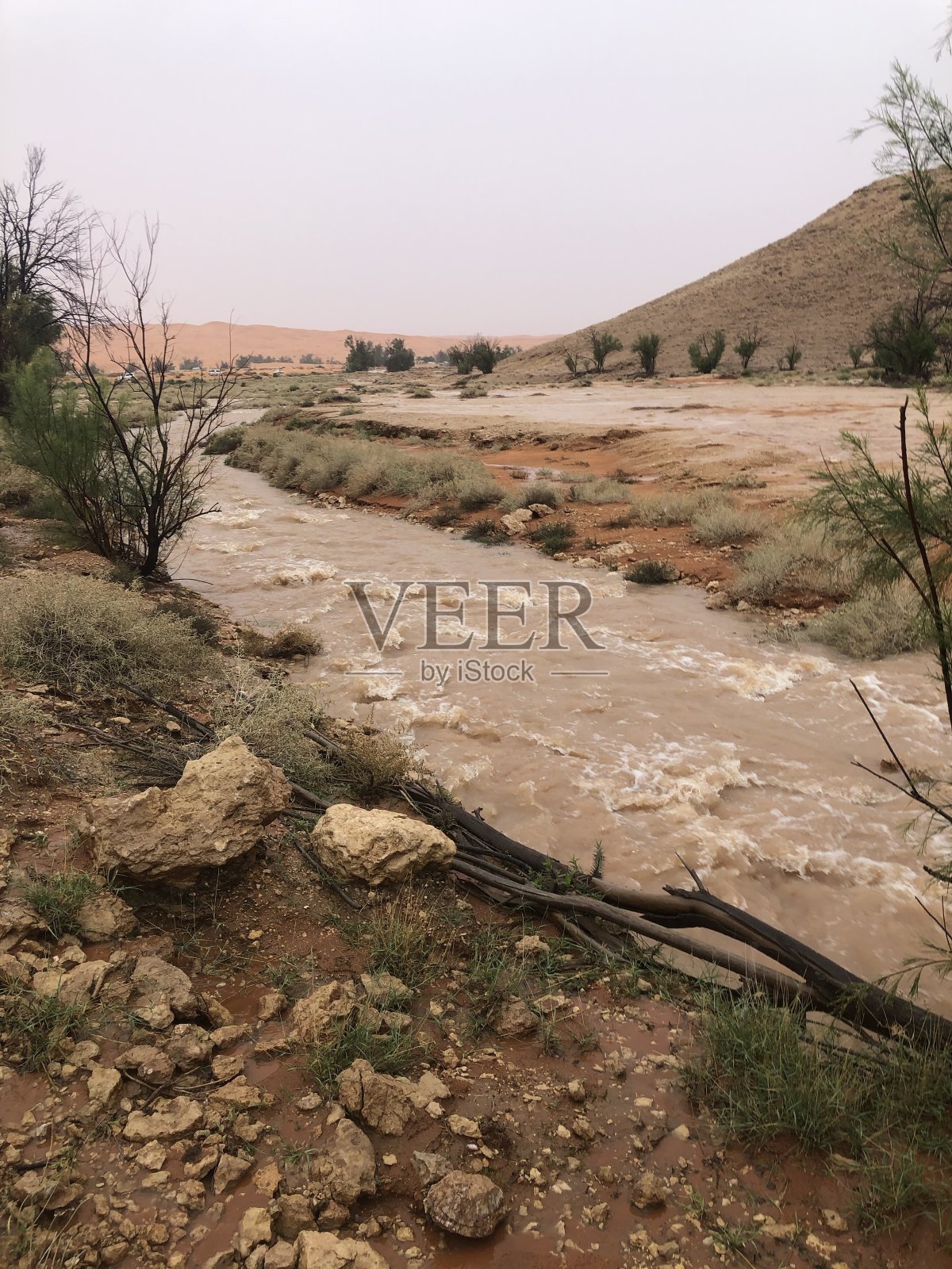 谷照片摄影图片