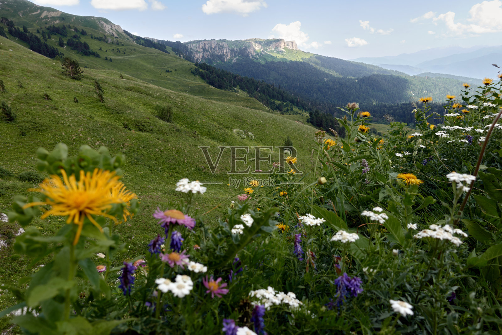 山景与绿色的山谷。照片摄影图片