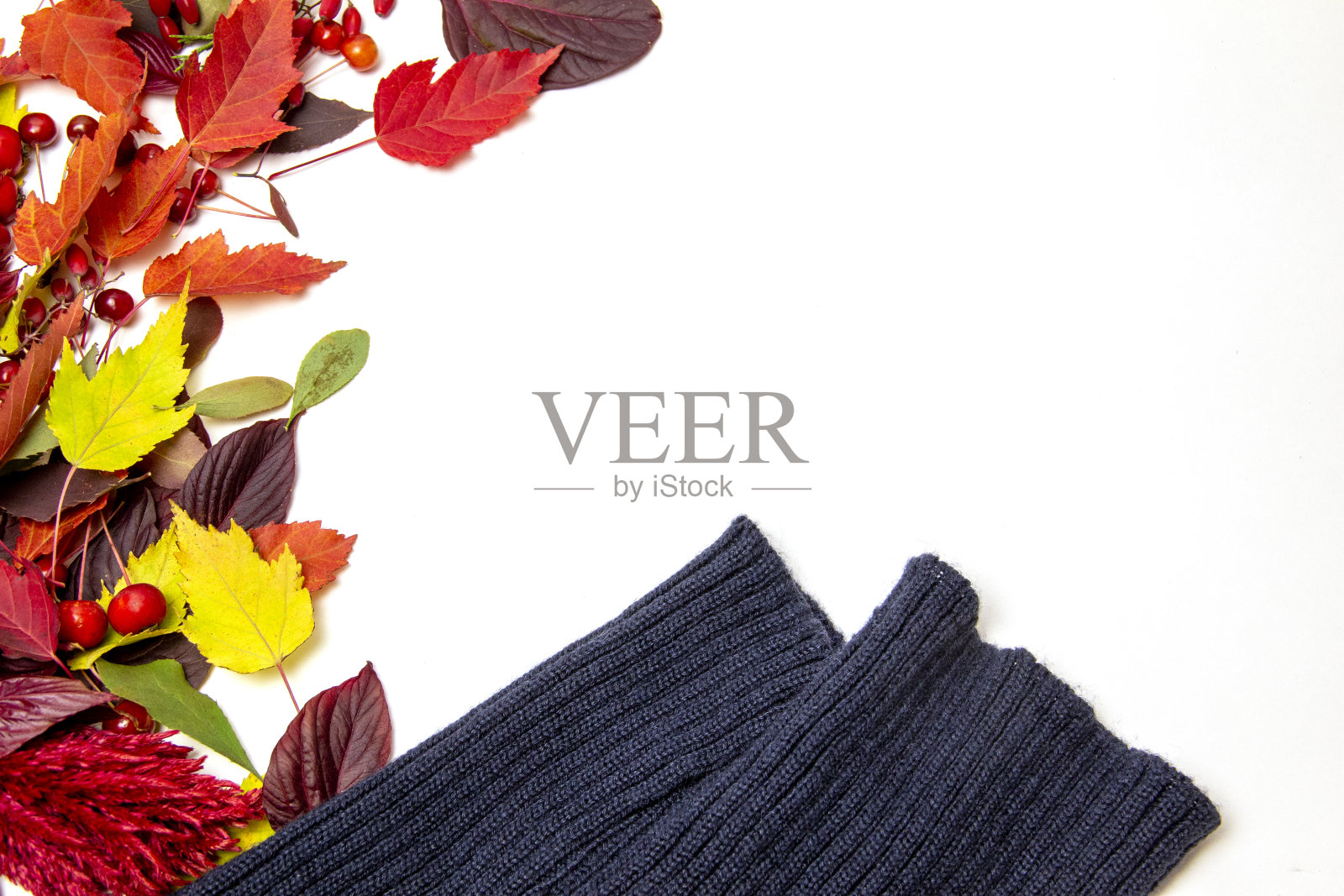 简单的秋天框架由彩色树叶和文本的地方。照片摄影图片