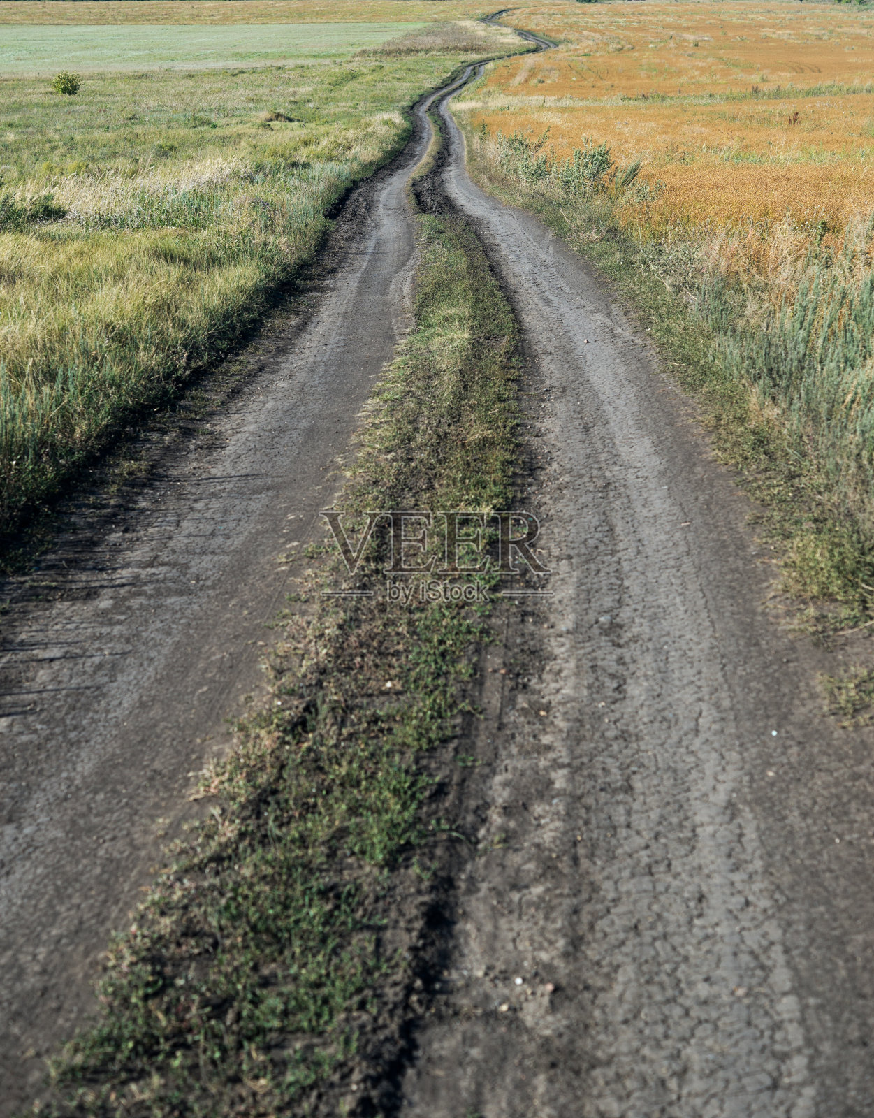 乡间小路照片摄影图片