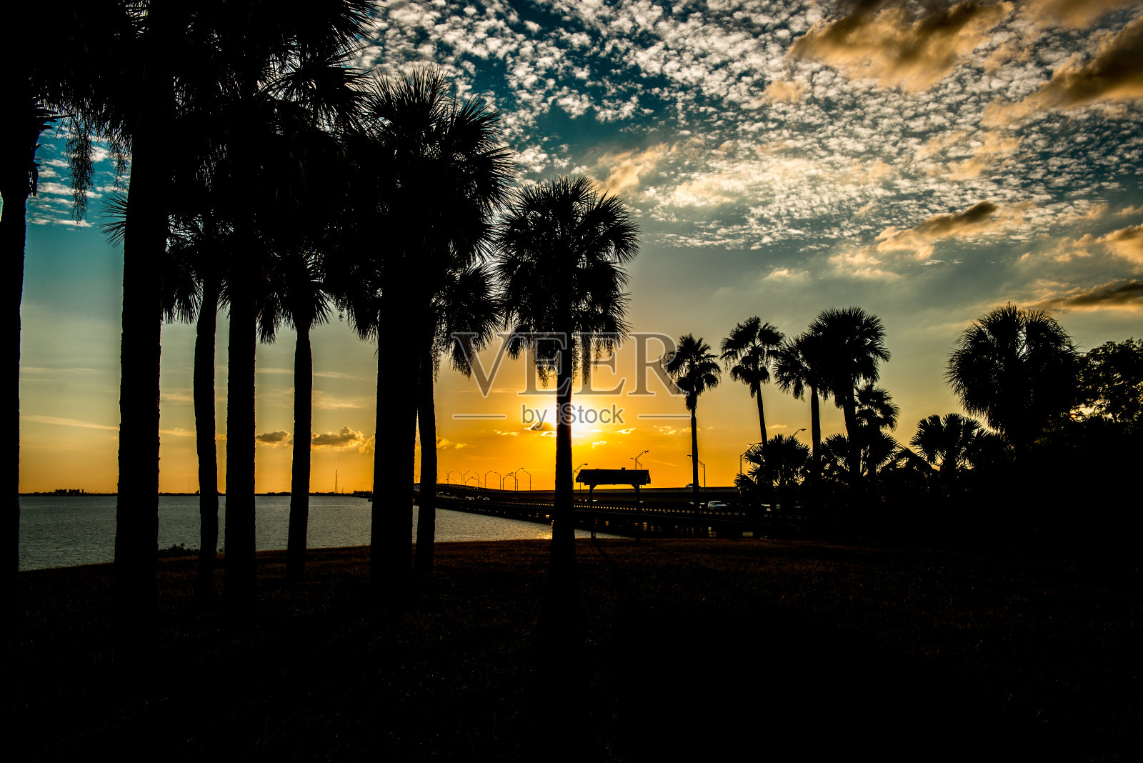 坦帕的日落照片摄影图片