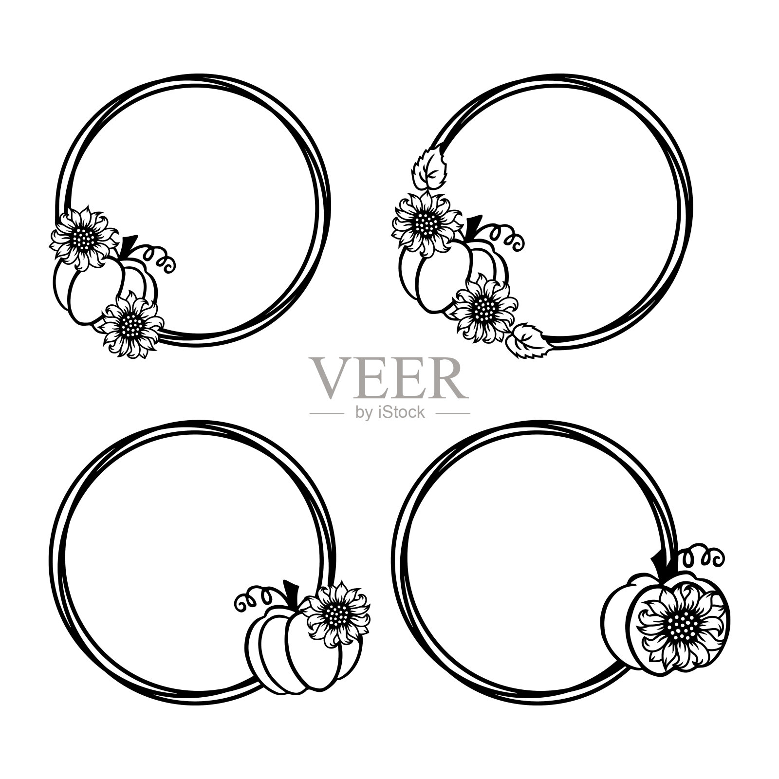 南瓜和向日葵的相框是白色的背景。设计元素集。矢量插图。插画图片素材