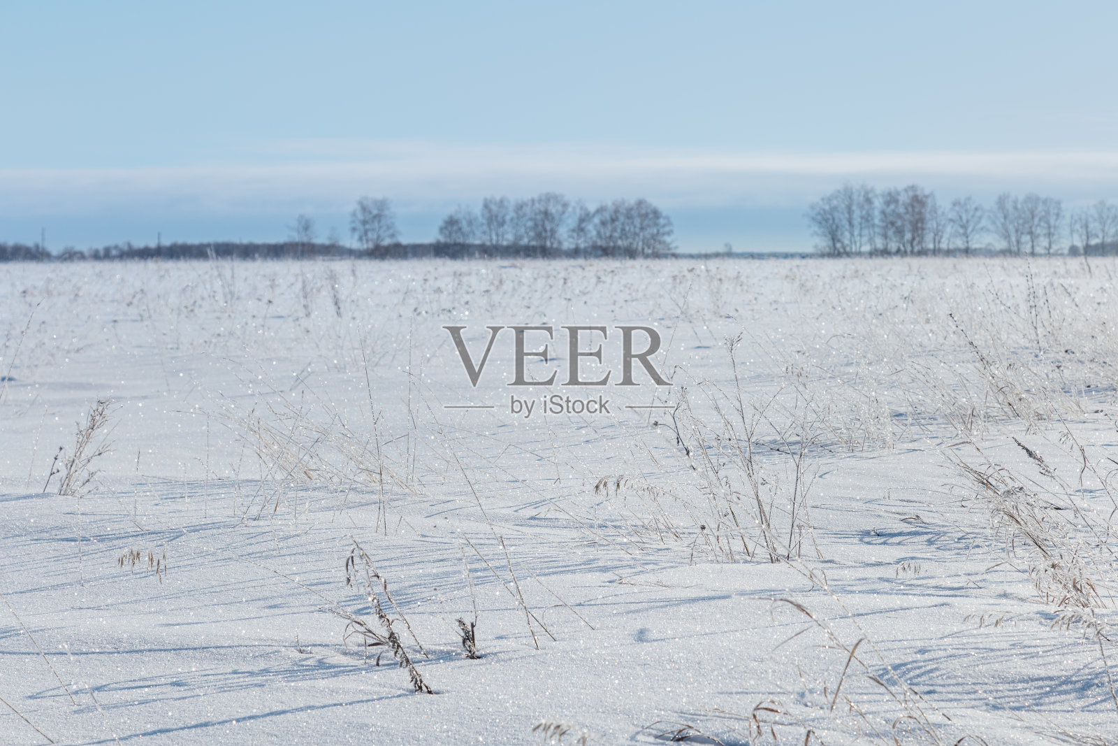 冬天的风景是白雪皑皑的田野，湛蓝的天空，霜冻的小草照片摄影图片