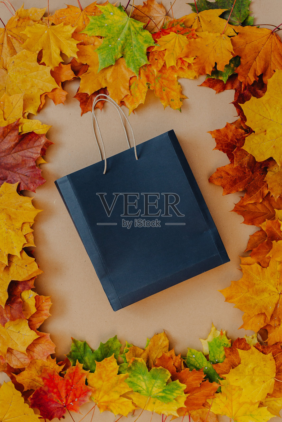 五颜六色的秋叶和黑色星期五包。照片摄影图片