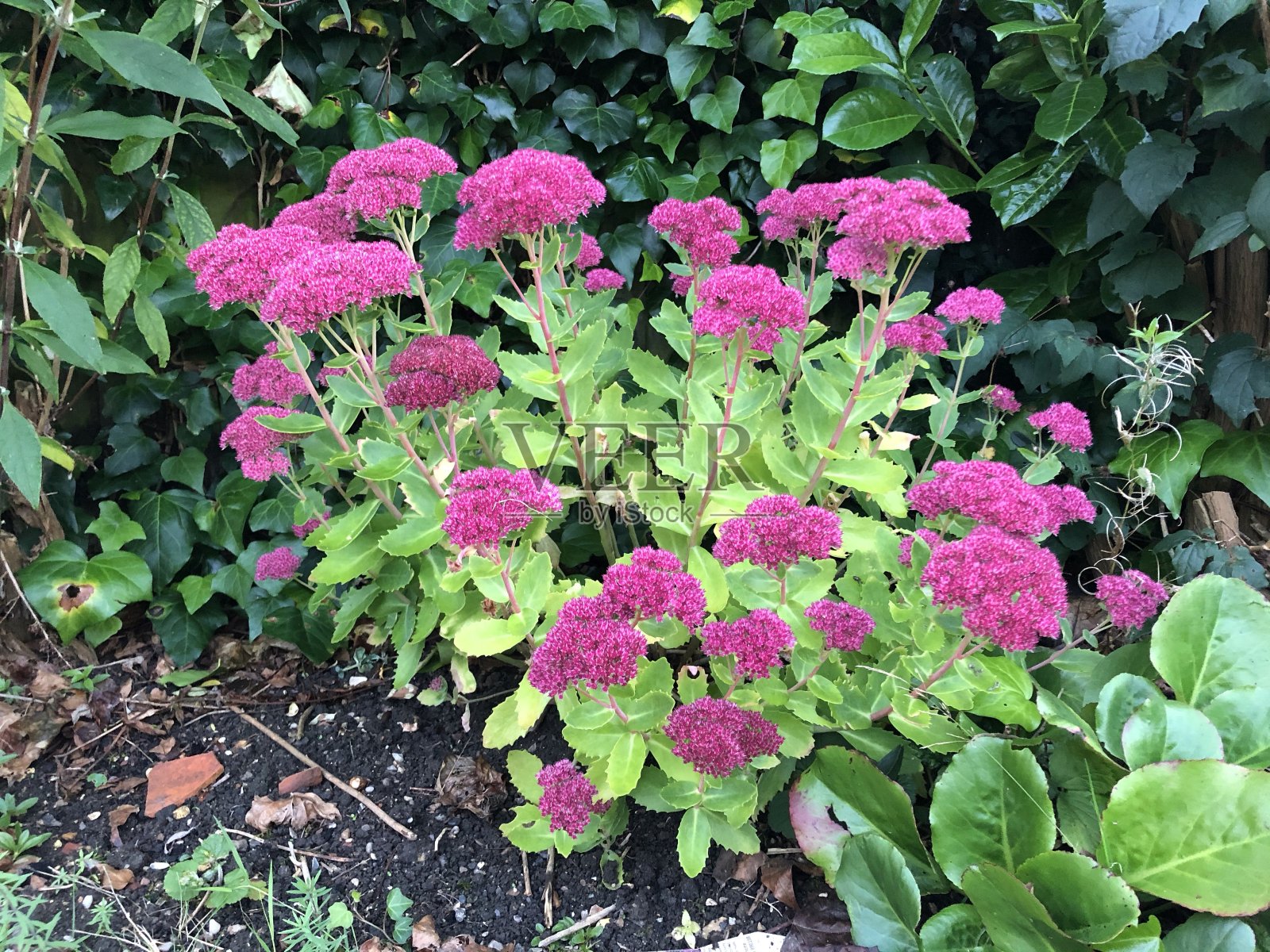 座位照片摄影图片