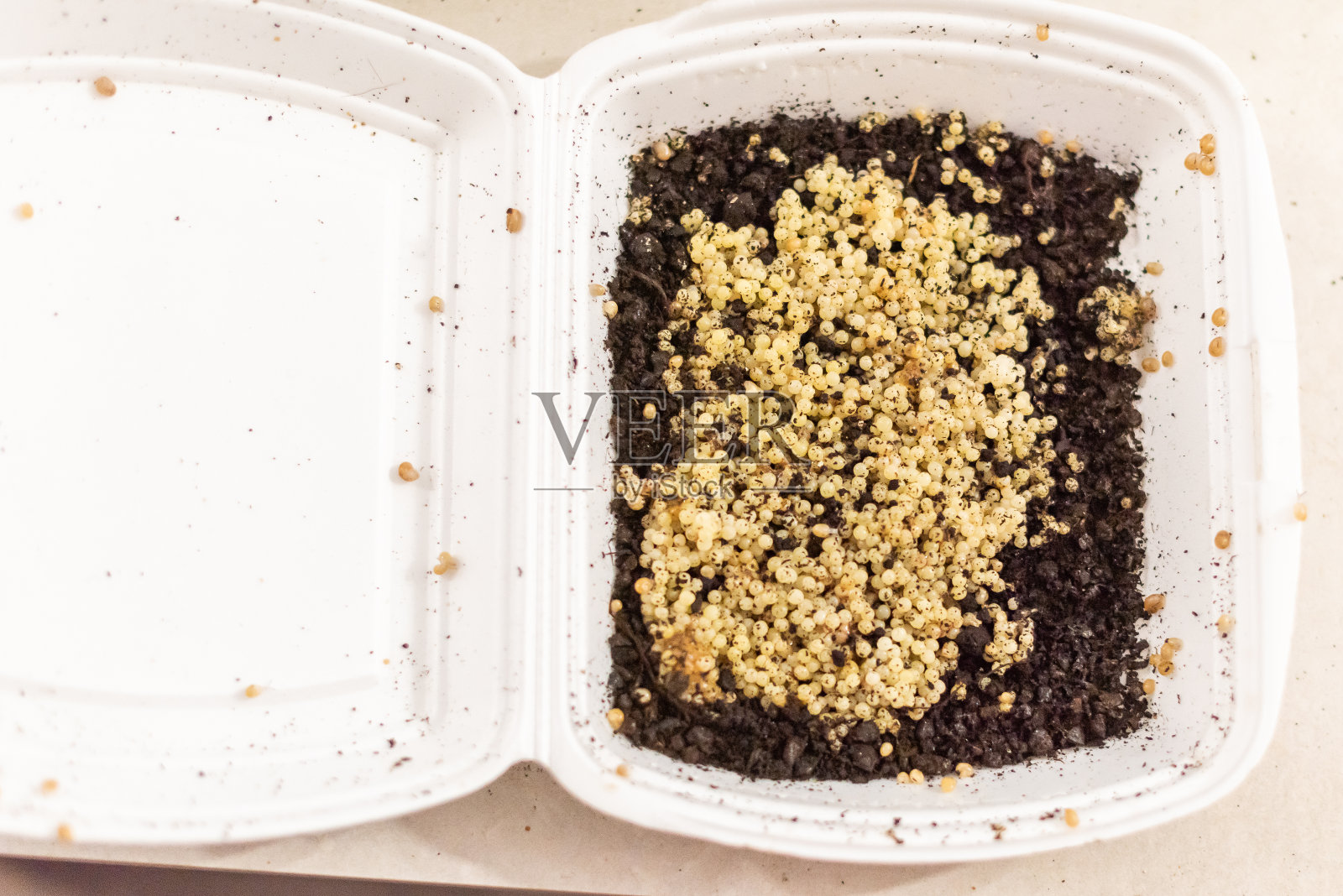 前视图。白色的碗里有很多小蜗牛鱼子酱和泥土。照片摄影图片