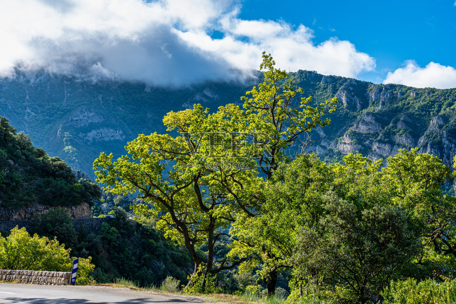佛尔登·戈尔格，佛伦斯你离开了法国照片摄影图片