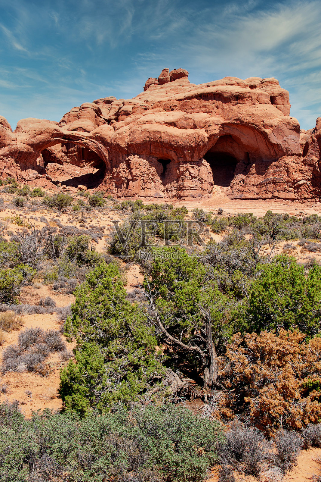 拱门NP照片摄影图片