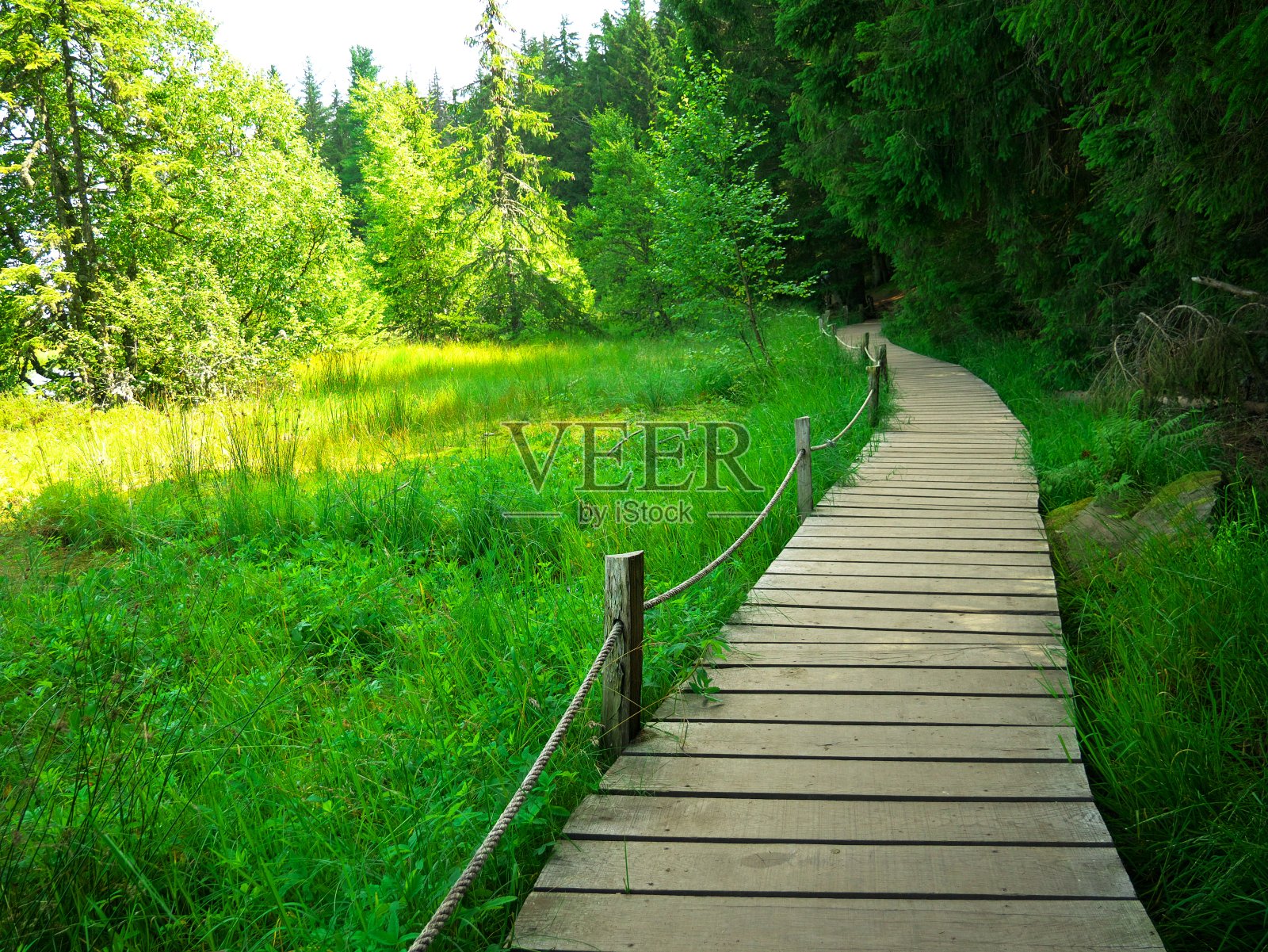 浮舟在法国中部的森林附近的田野中央照片摄影图片