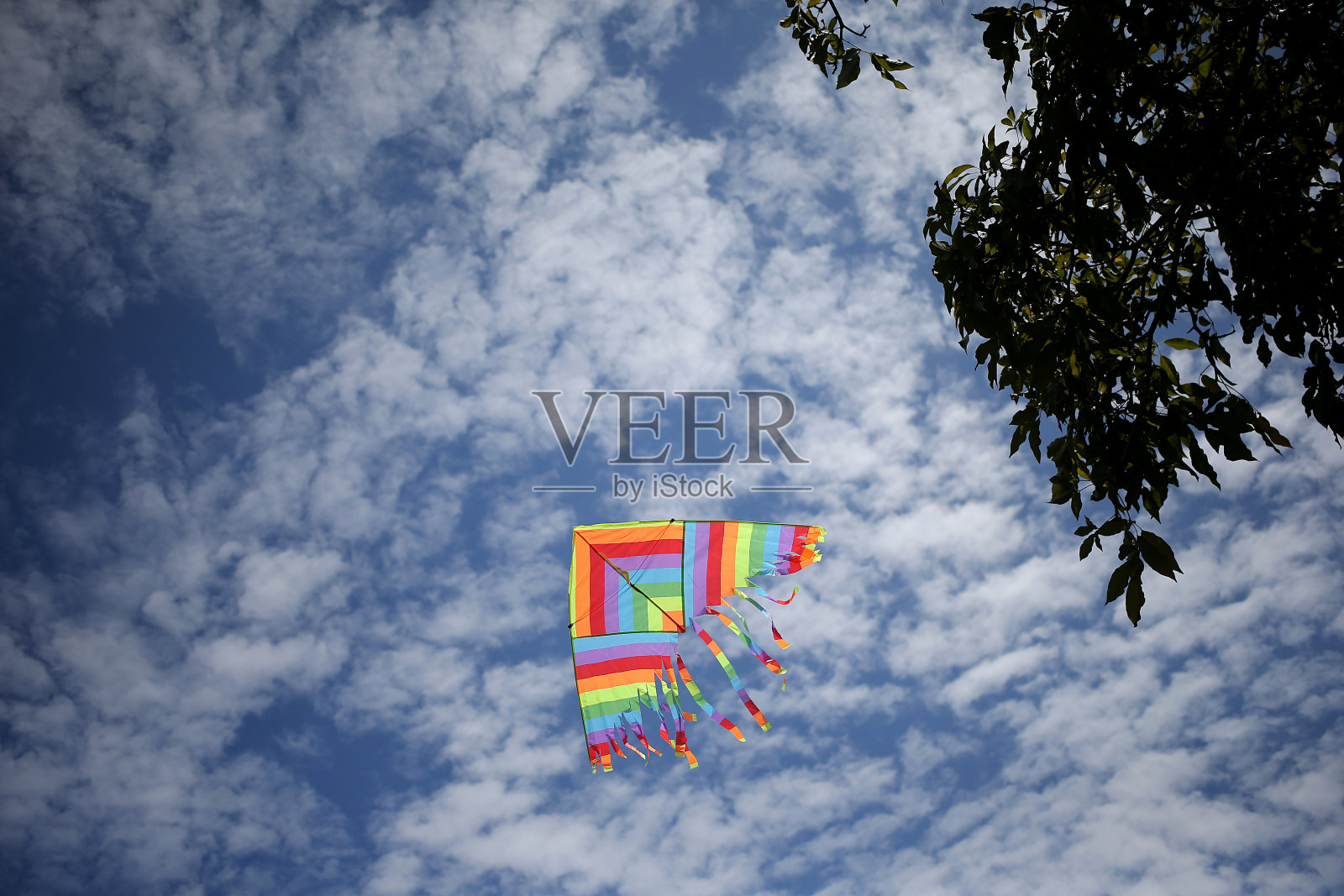 放风筝照片摄影图片