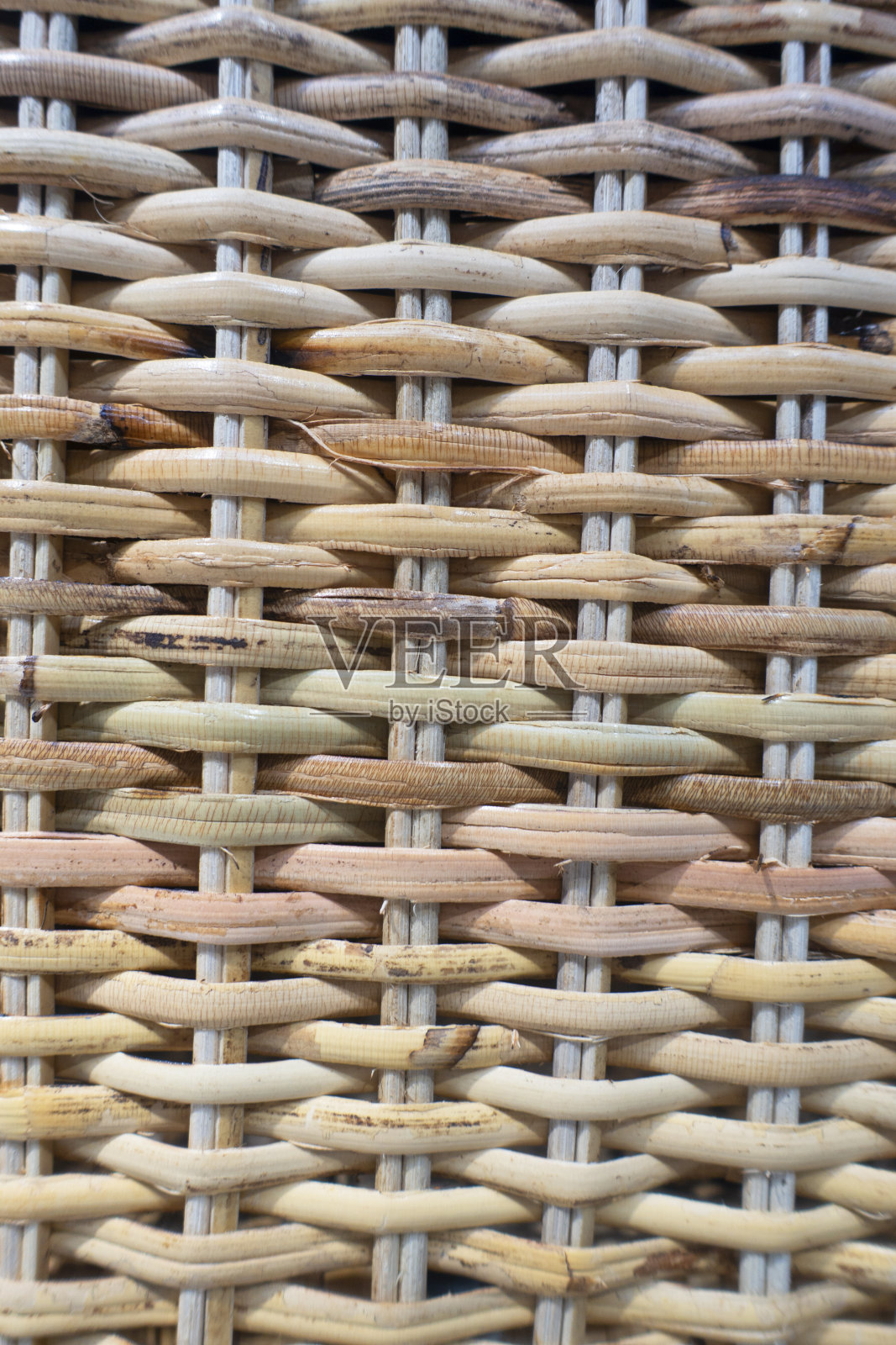 柳条背景。照片摄影图片