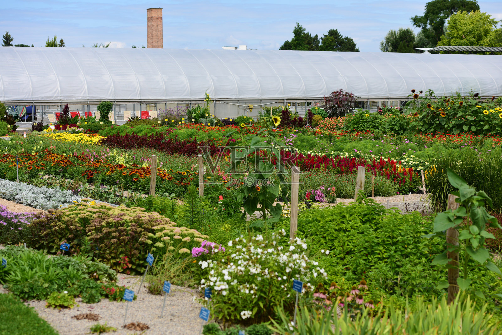 橘园在维也纳照片摄影图片
