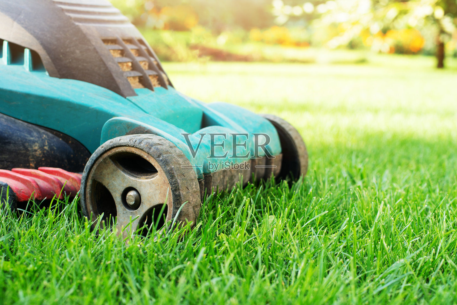 草坪上的割草机近距离观察。草坪护理的概念照片摄影图片