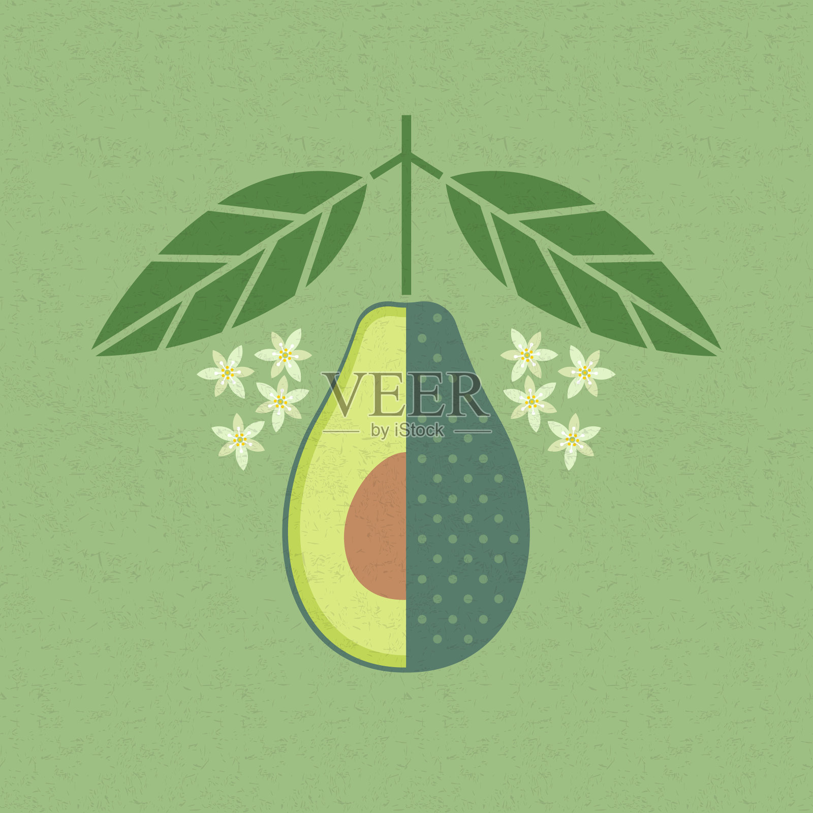 鳄梨插图。在破旧的背景上切带叶子和花的牛油果。对称平面组成。插画图片素材