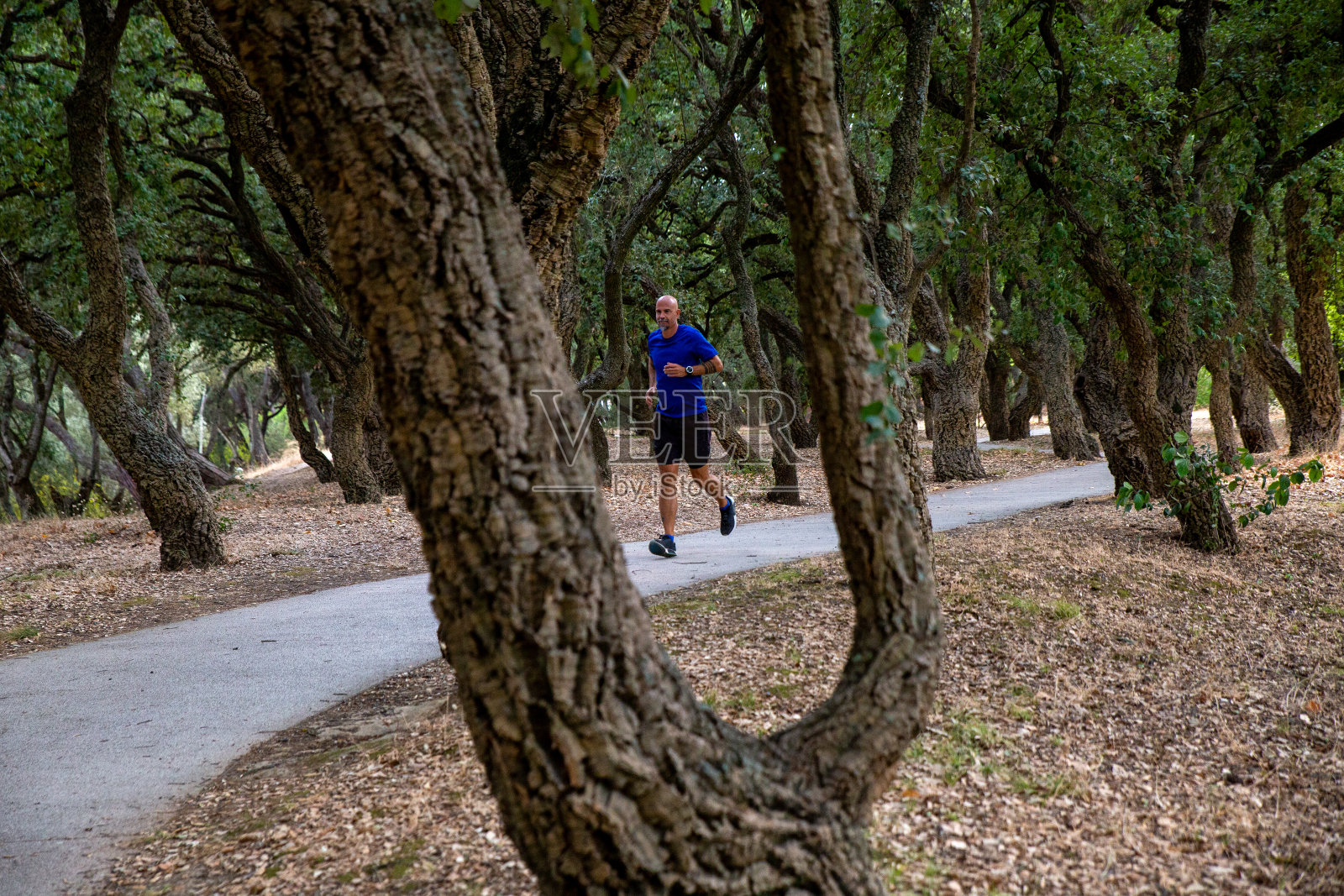 一个在公园里跑步的人照片摄影图片