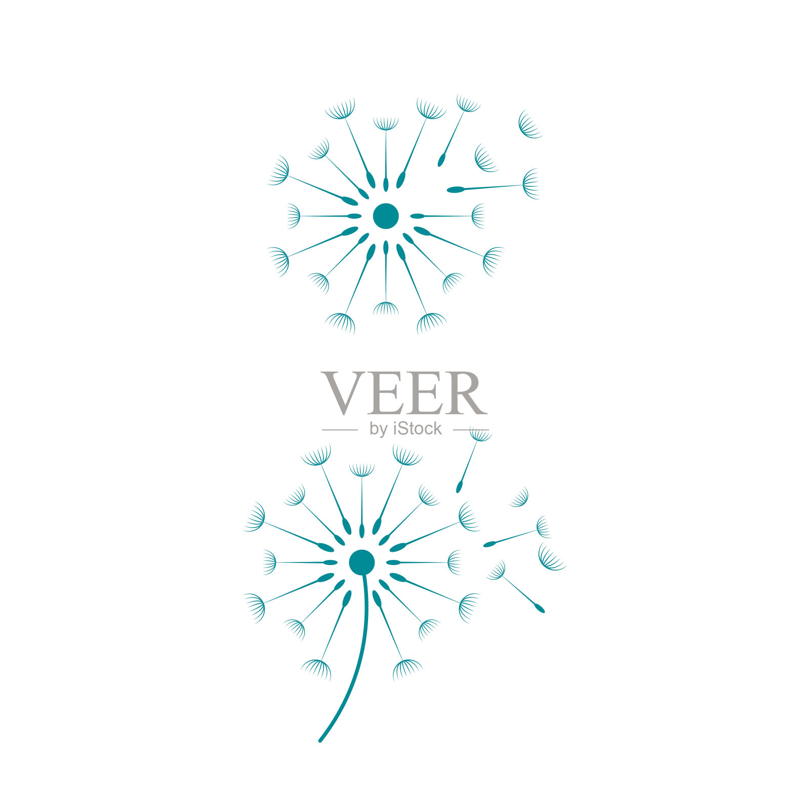 蒲公英矢量图标设计插画图片素材