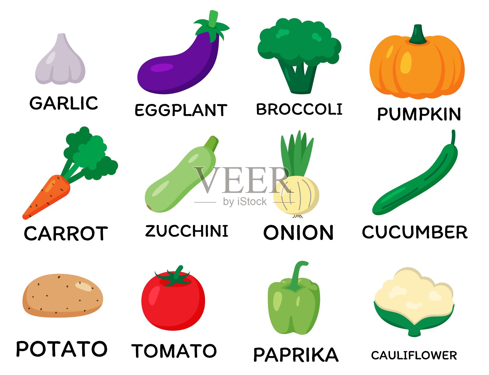 向量蔬菜组。卡通平的风格。大蒜，茄子，花椰菜，南瓜，胡萝卜，西葫芦，洋葱，黄瓜，土豆，番茄，辣椒，花椰菜。打印食谱，市场。素食插画图片素材