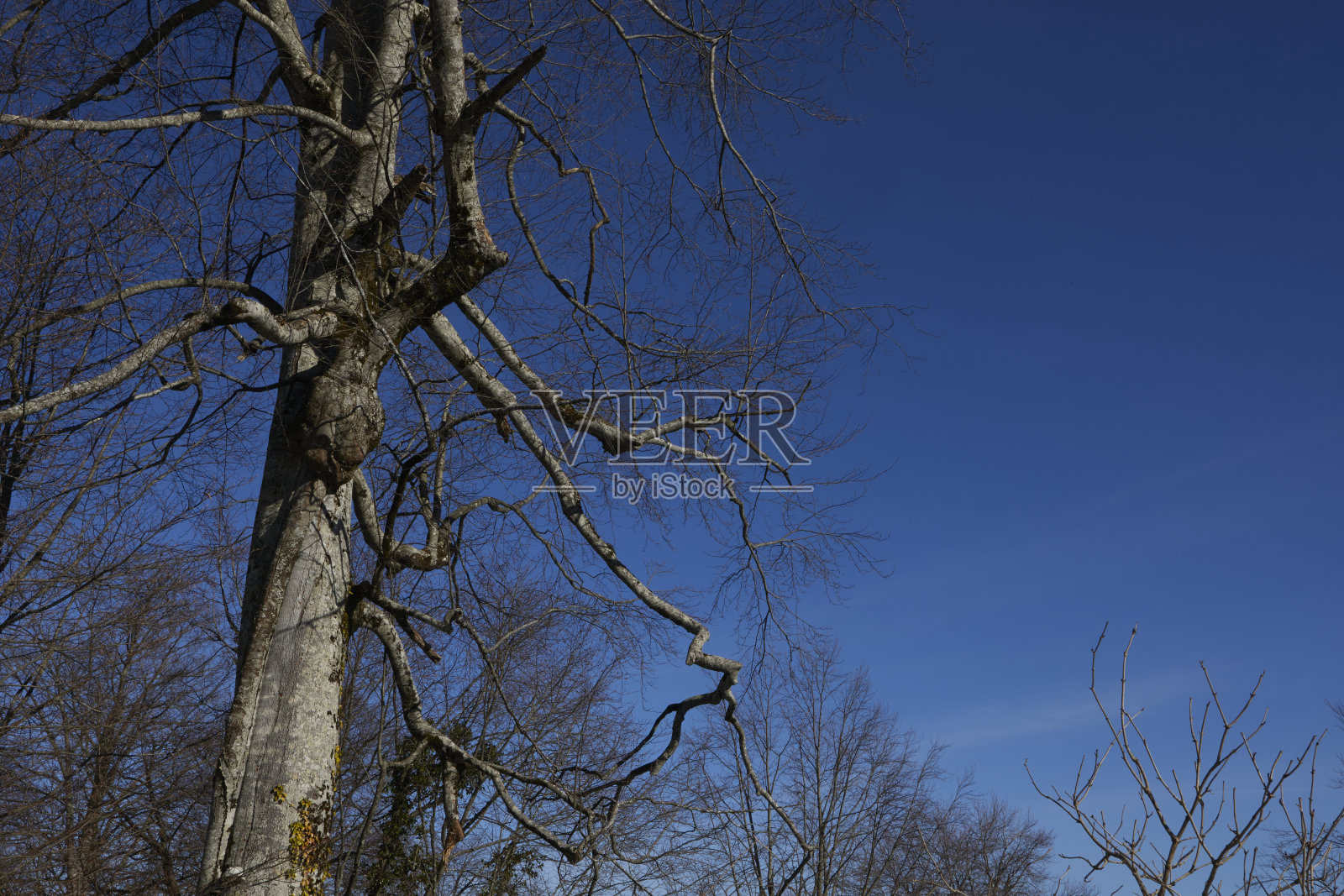 山上的雪照片摄影图片