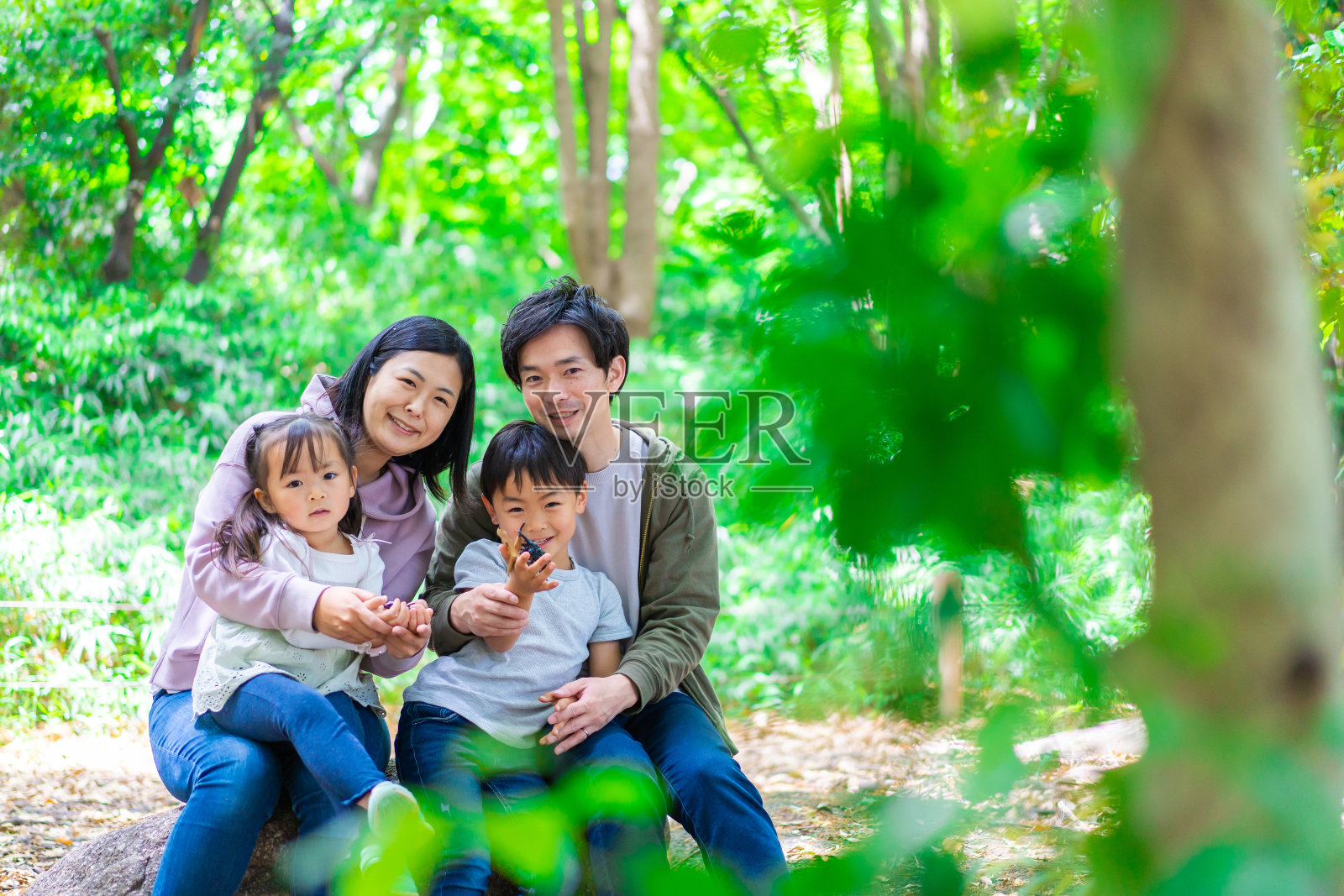 一家人在森林里玩耍照片摄影图片