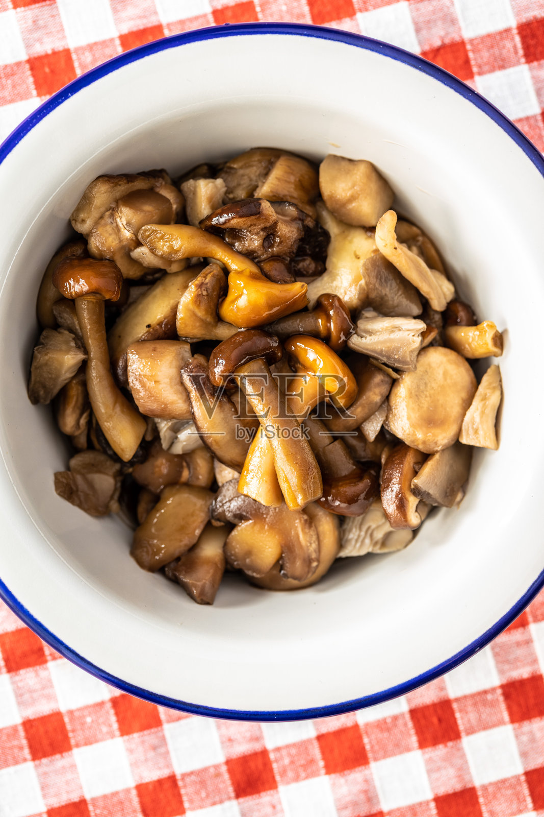 切片保存蘑菇。照片摄影图片