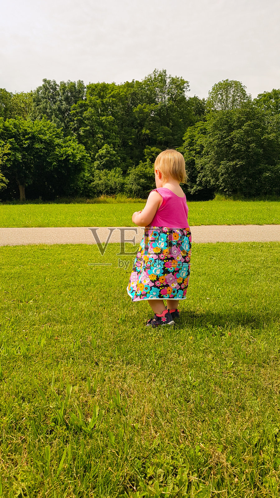女孩们在绿色探索之旅照片摄影图片