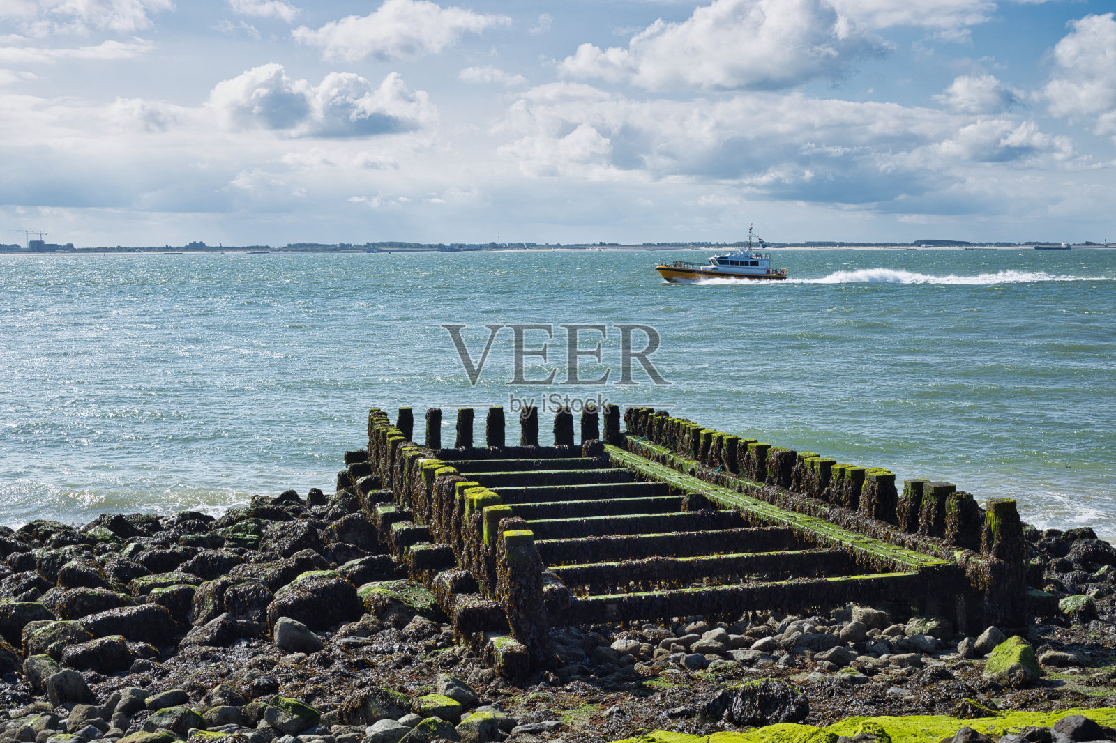 在湖的海岸上的桩头，防波堤，长满藻类海藻的水平视图照片摄影图片