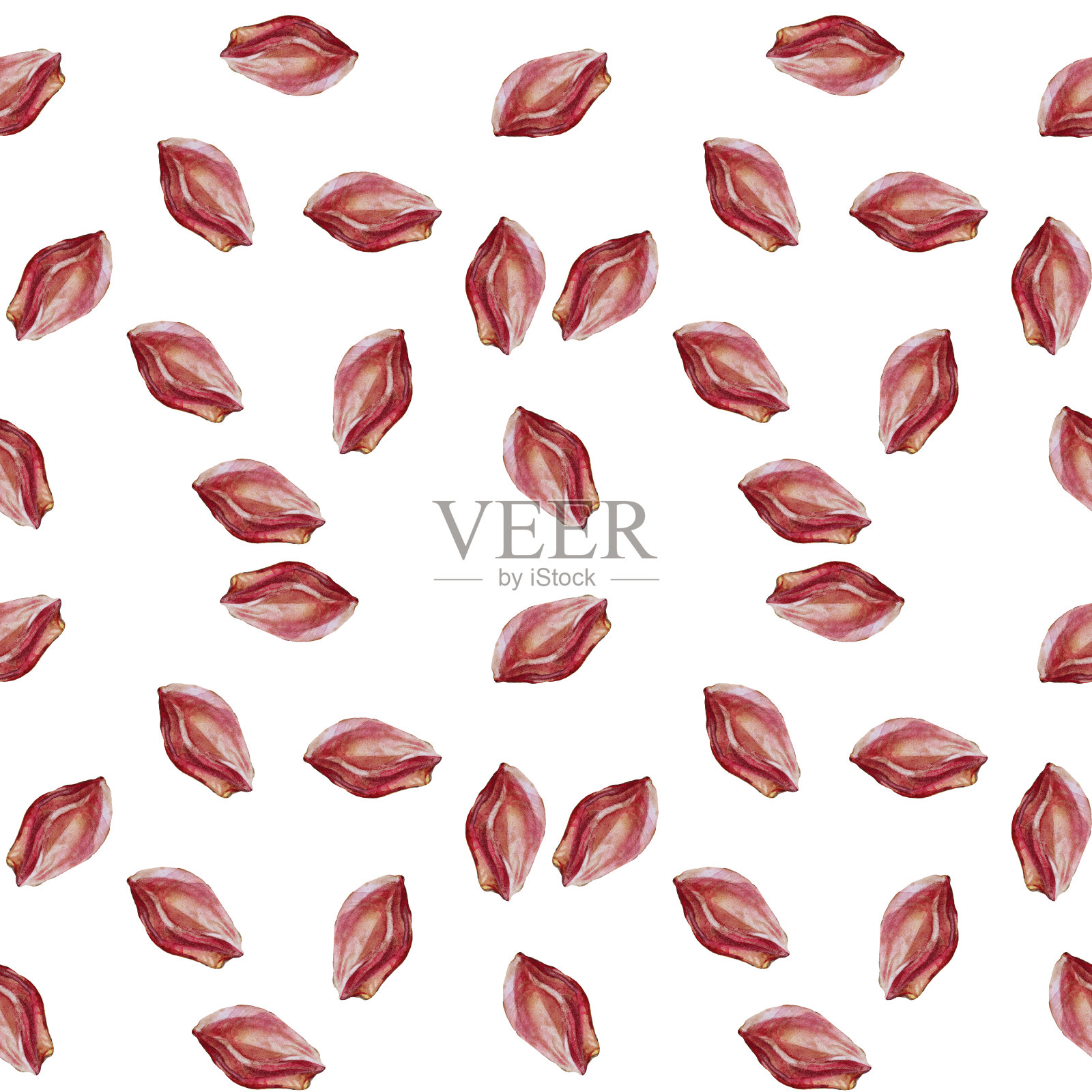 水彩无缝模式与种子坑从李子或杏孤立在白色背景。创意艺术的菜单，卡片，包装，墙纸，商店，卡片，素描本插画图片素材