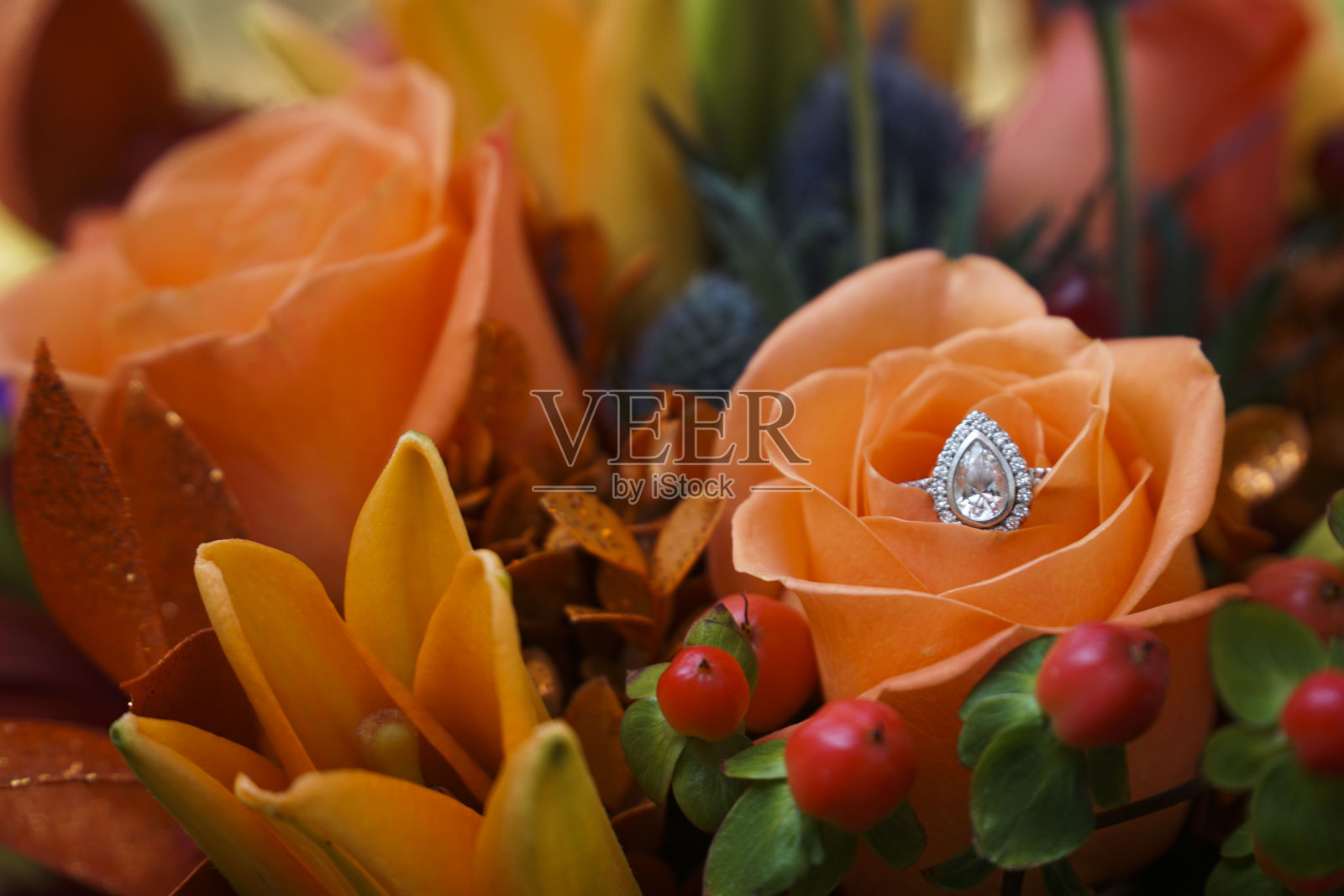 秋天的戒指照片照片摄影图片