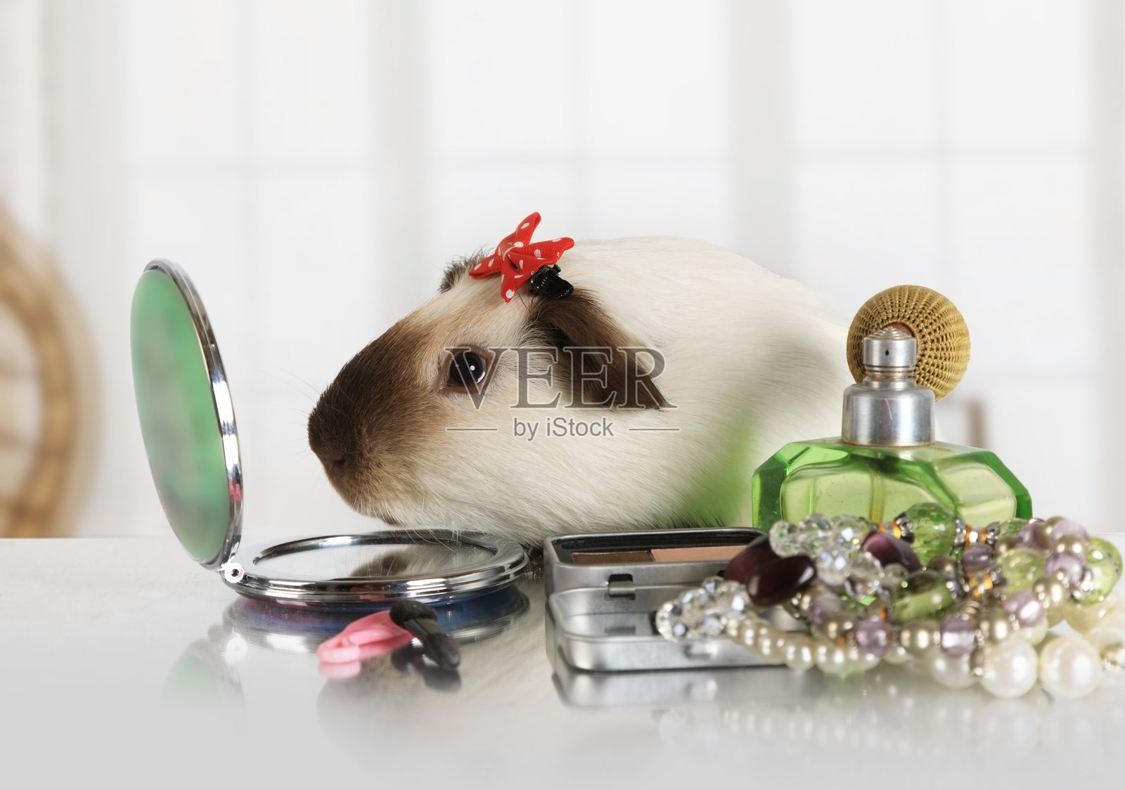 漂亮的老鼠照镜子照片摄影图片