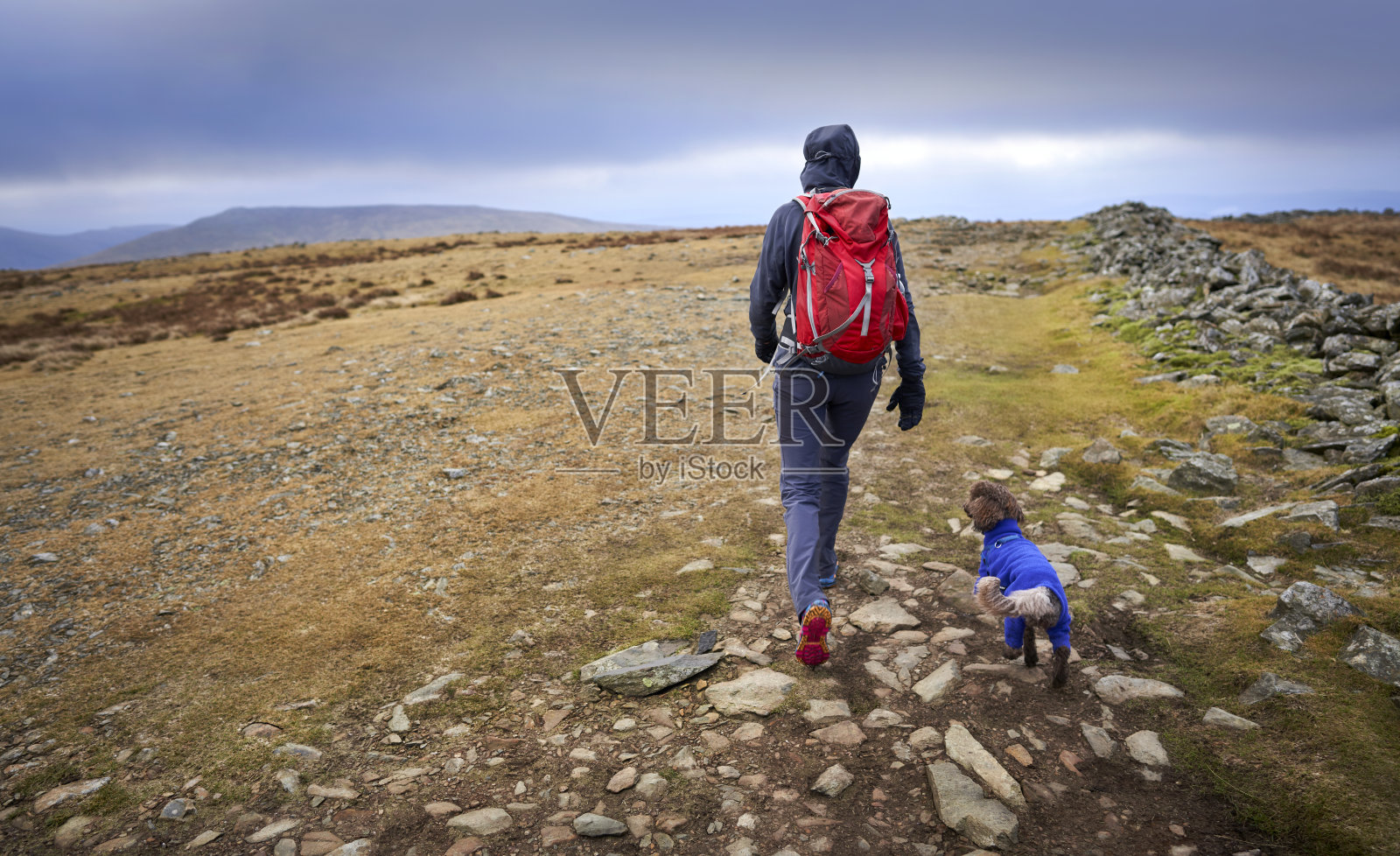 一个徒步旅行者和他们的狗在鸽子岩的山顶上散步照片摄影图片