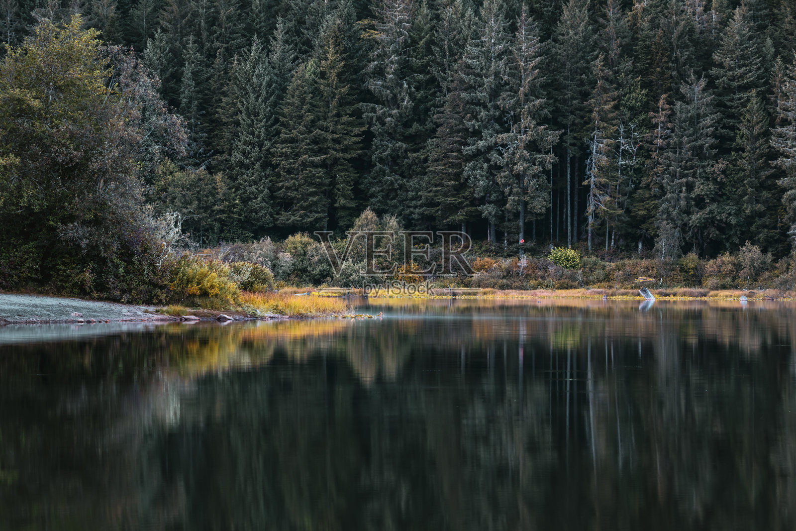 仙女湖倒影照片摄影图片
