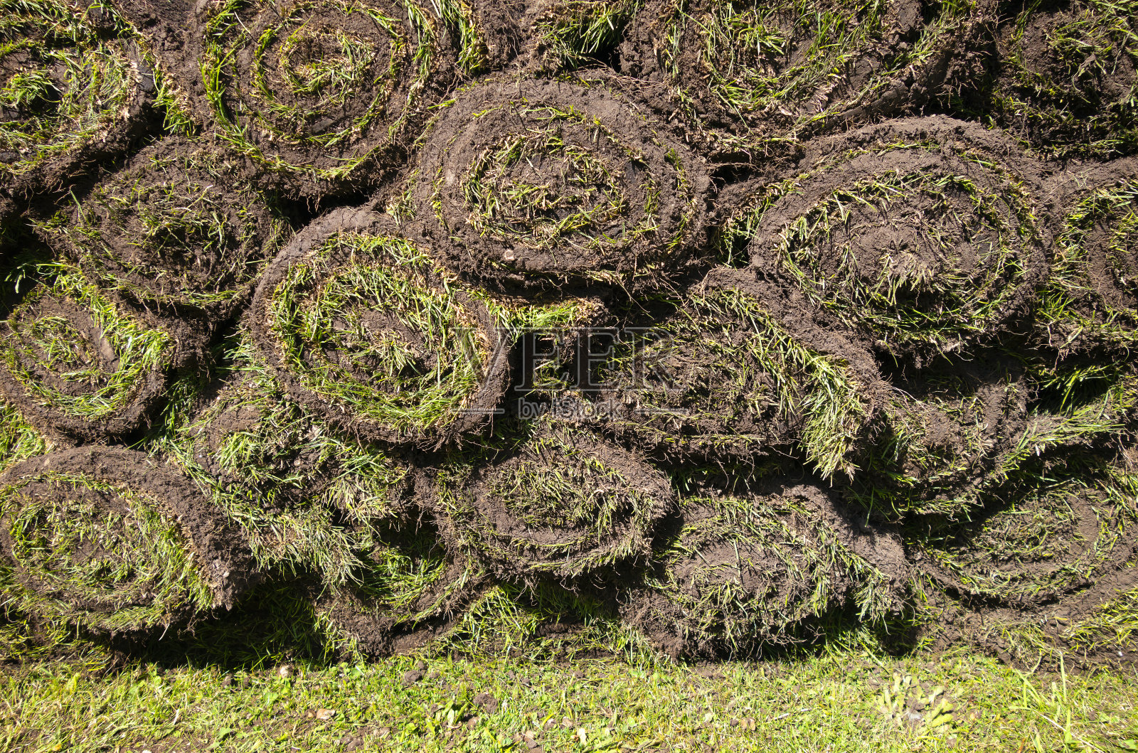 准备铺设的一卷草皮照片摄影图片