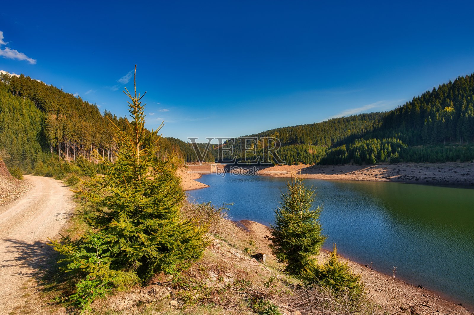 在图林根森林的伦斯泰格山上照片摄影图片
