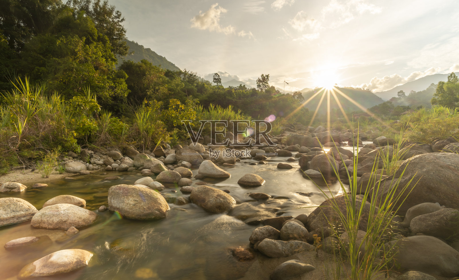 河中有石，树中有阳光照片摄影图片
